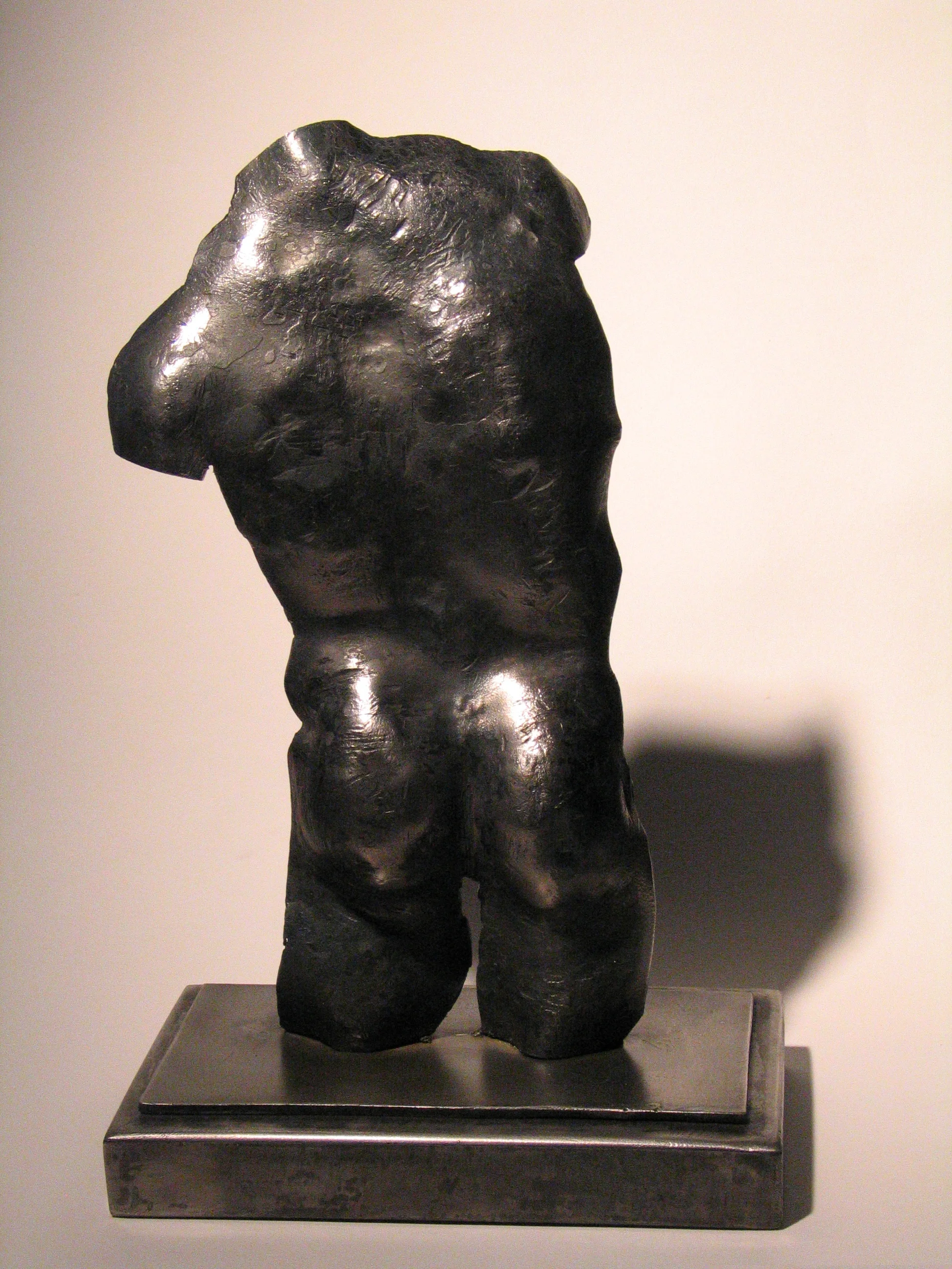 untitled male torso
