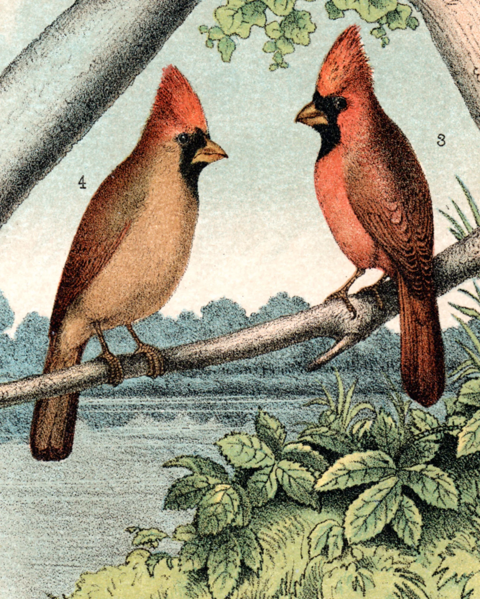 Studer, Jacob H. / Jasper, Theodore – color