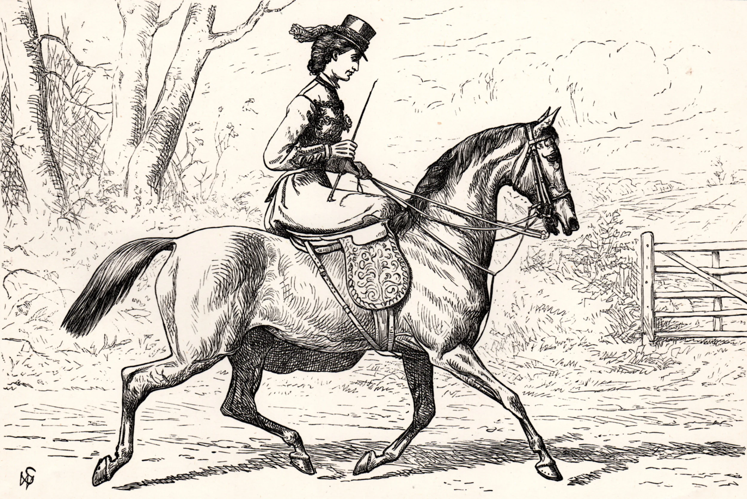 Cassell's 'The Book of the Horse' (circa 1870-75)