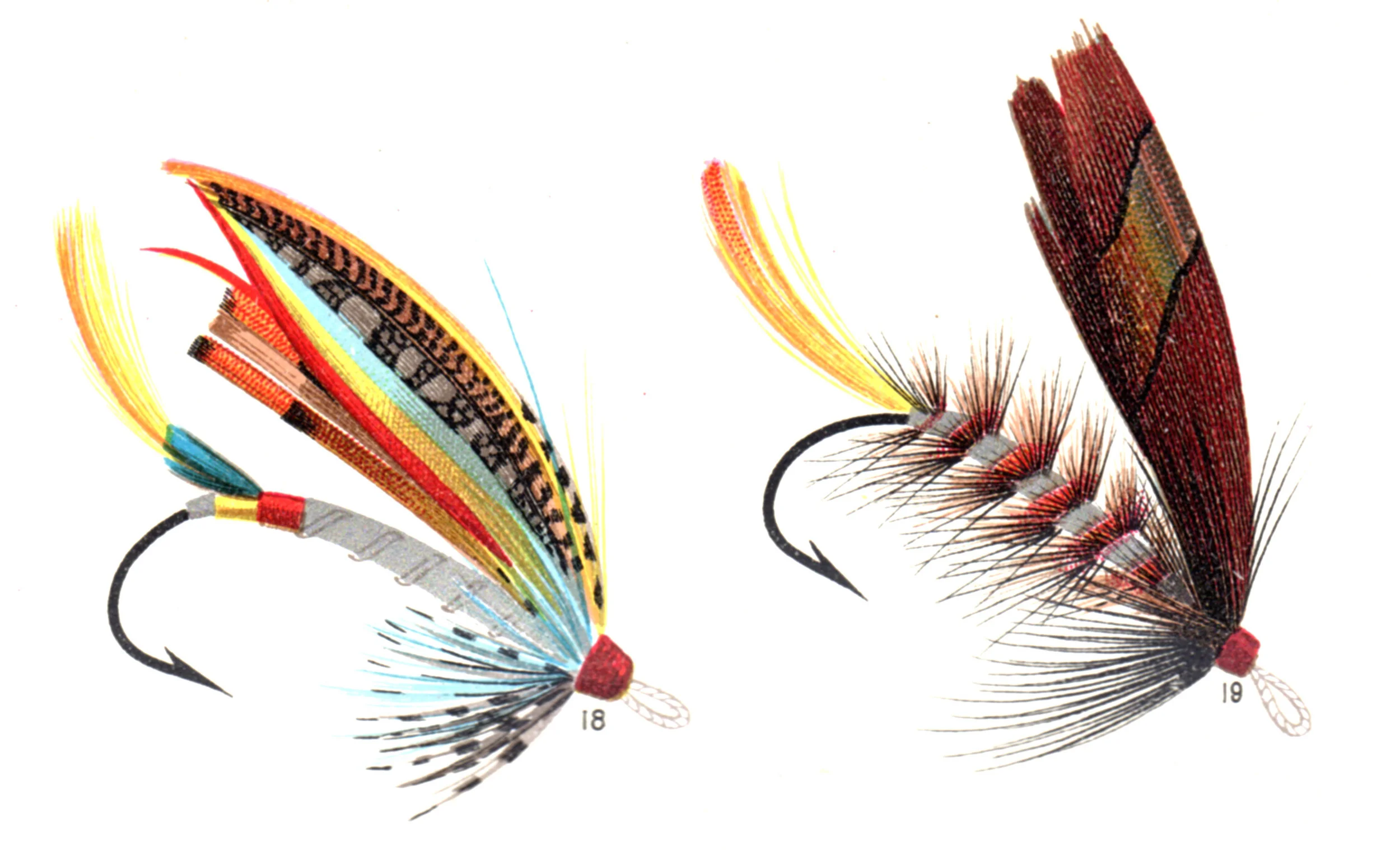 Mary Orvis Marbury / Favorite Flies (1892)