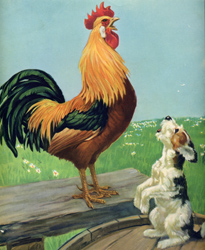 Children's book animal illustrations (circa 1940s)