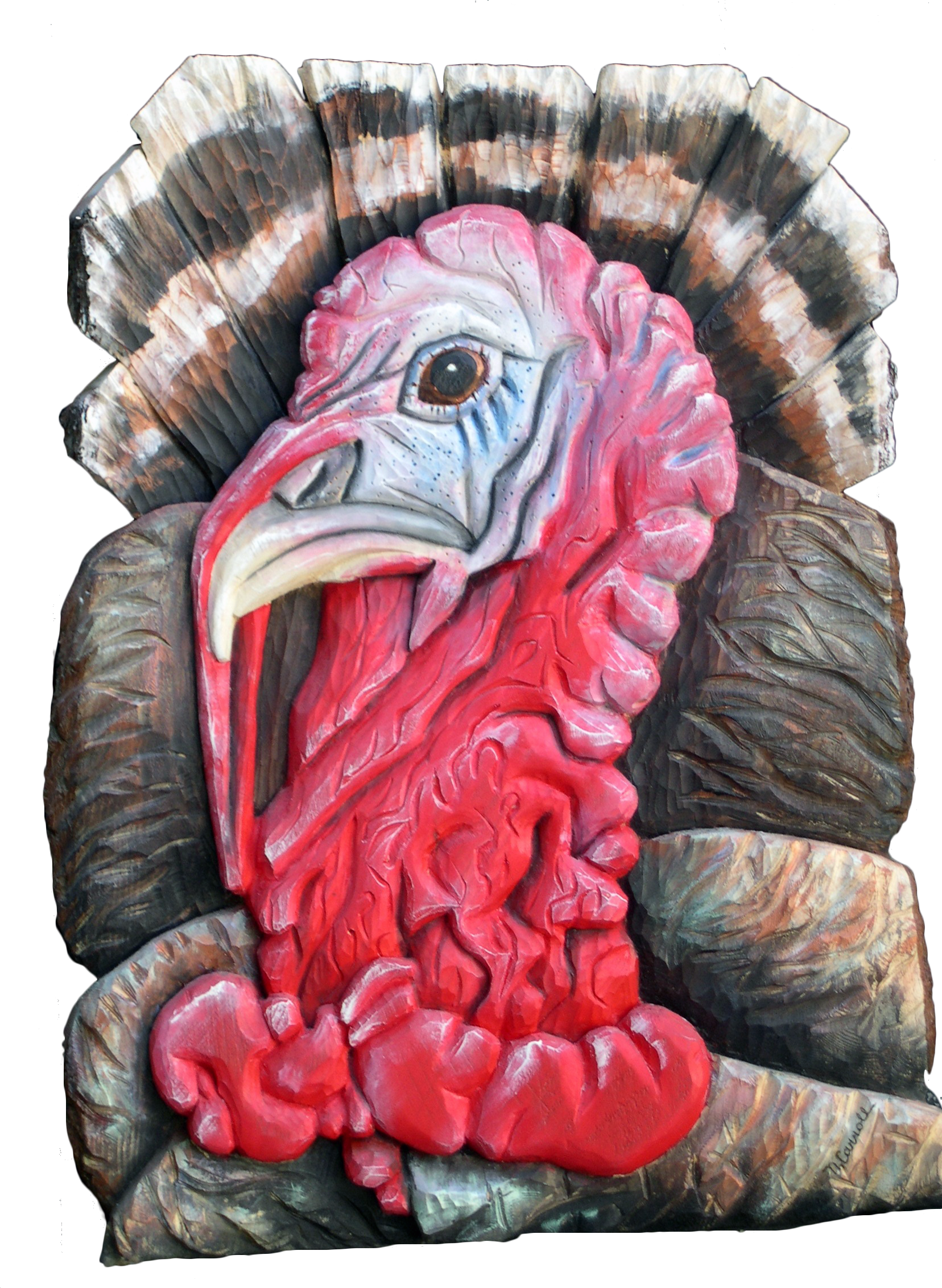 &nbsp; &nbsp; &nbsp; &nbsp; &nbsp; &nbsp; &nbsp; &nbsp; &nbsp; &nbsp; &nbsp; &nbsp; &nbsp; &nbsp; &nbsp; &nbsp; &nbsp; &nbsp; &nbsp;Wild Turkey