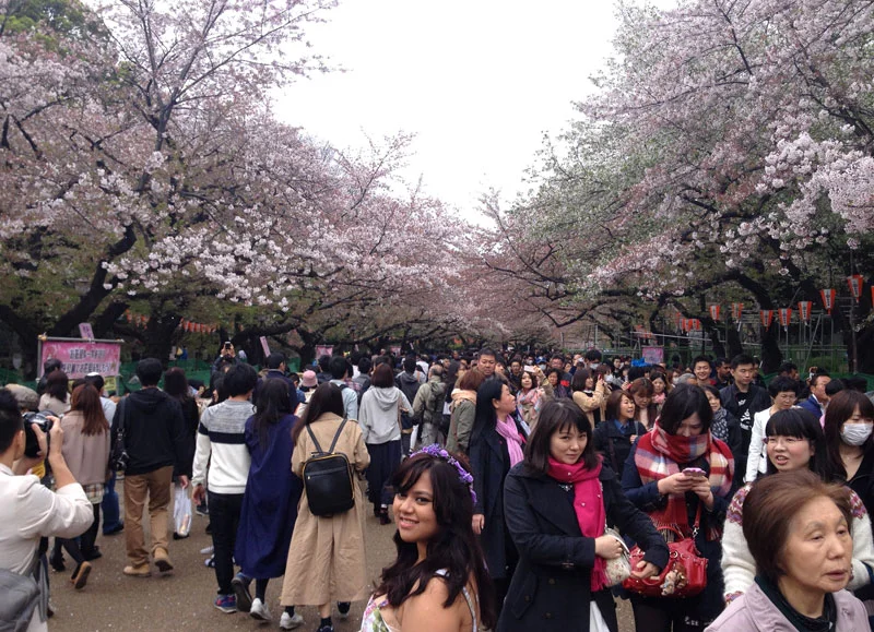 Ueno-Tokyo.jpg