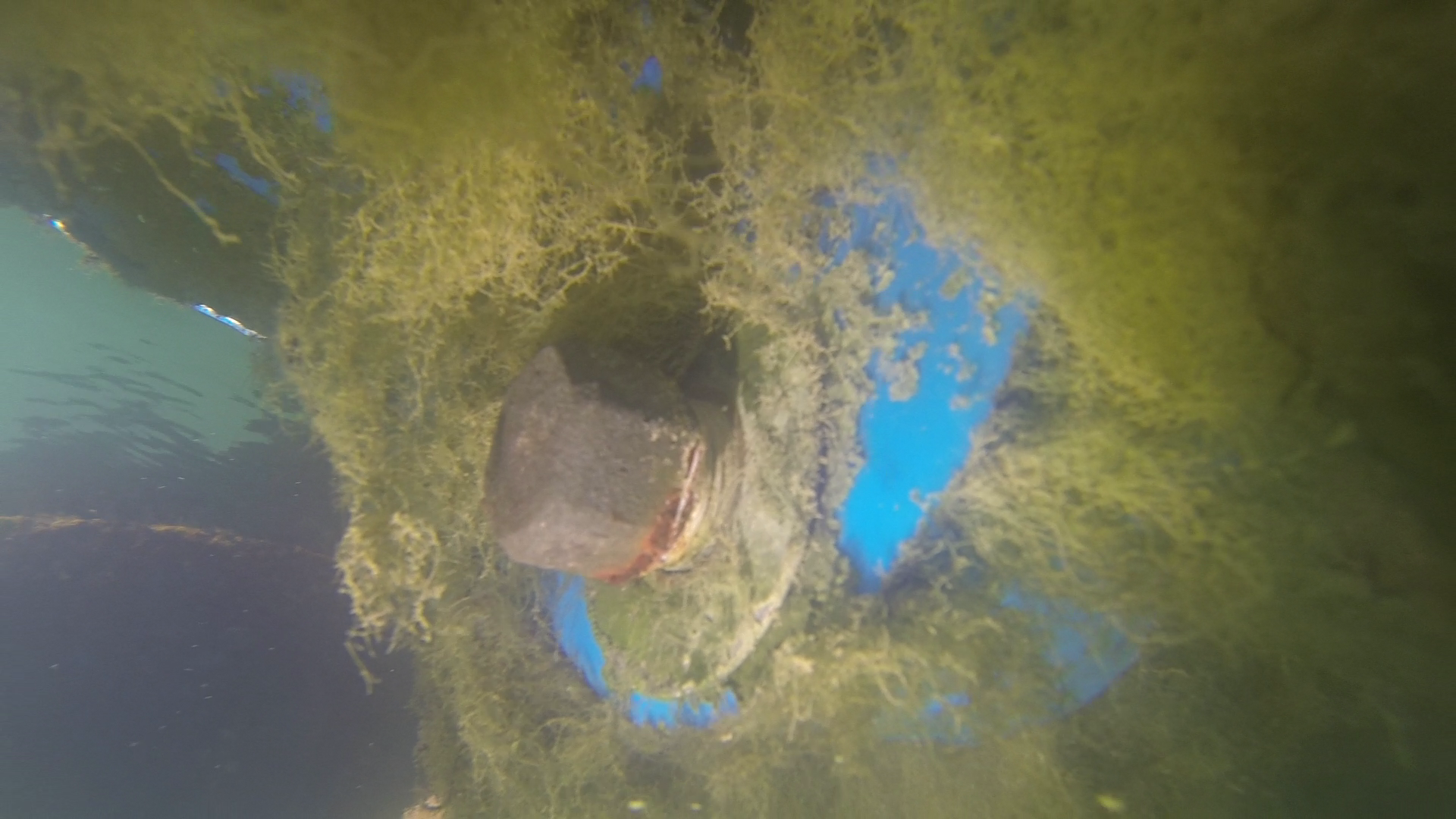 Detalle de sujeción de una boya previo a su reparación y limpieza.