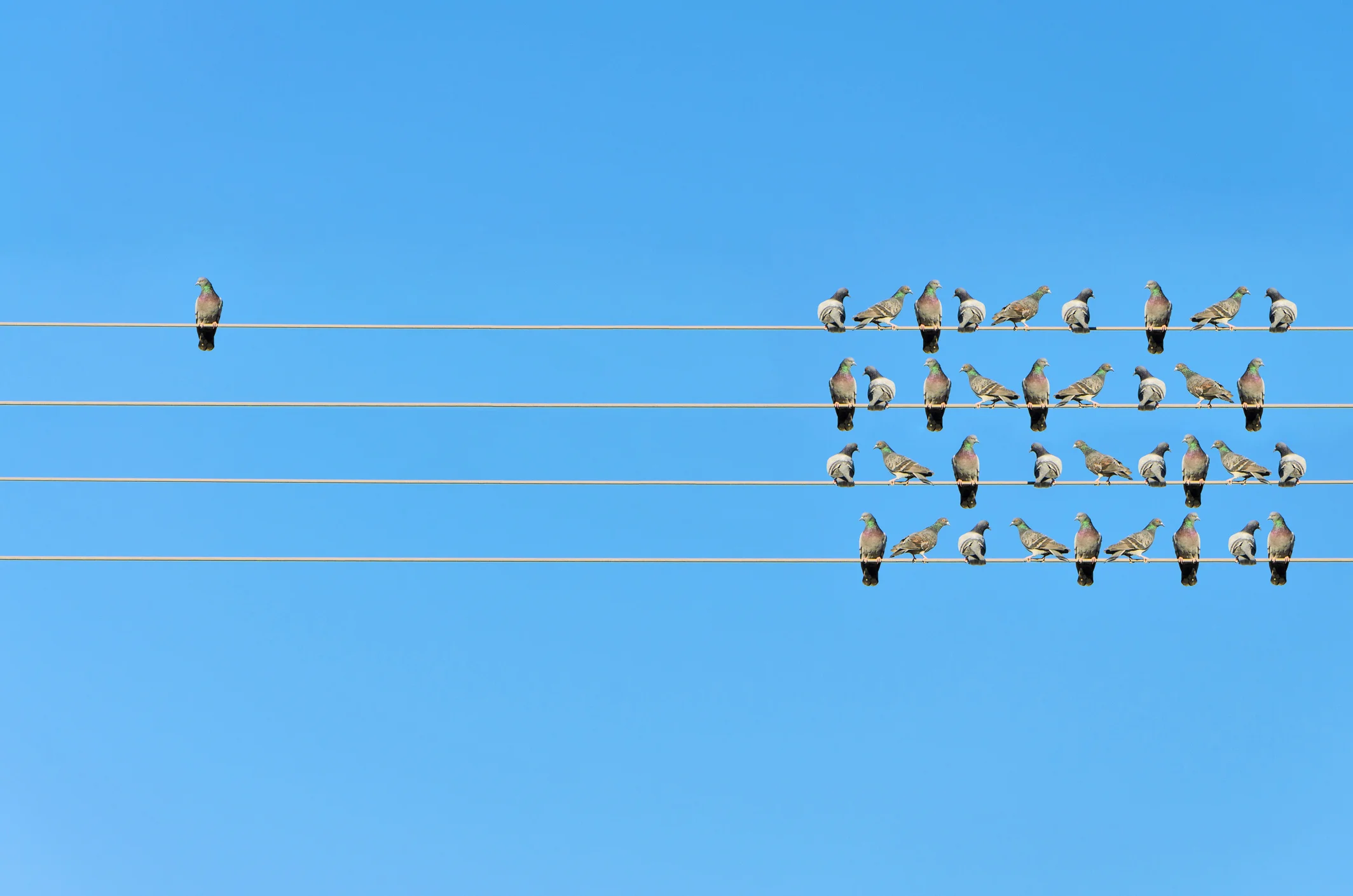 Photo by OgnjenO/iStock / Getty Images