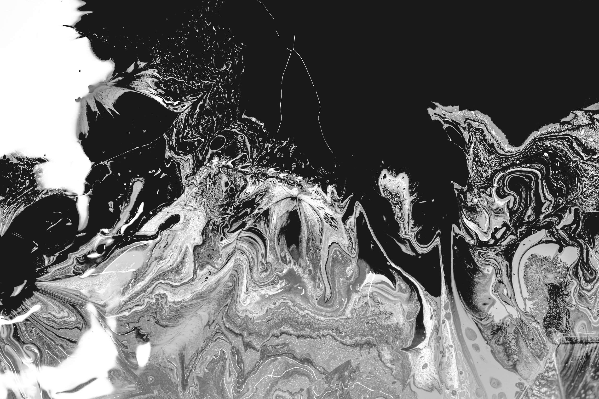 Cats Banner graded_anthrazit.jpg