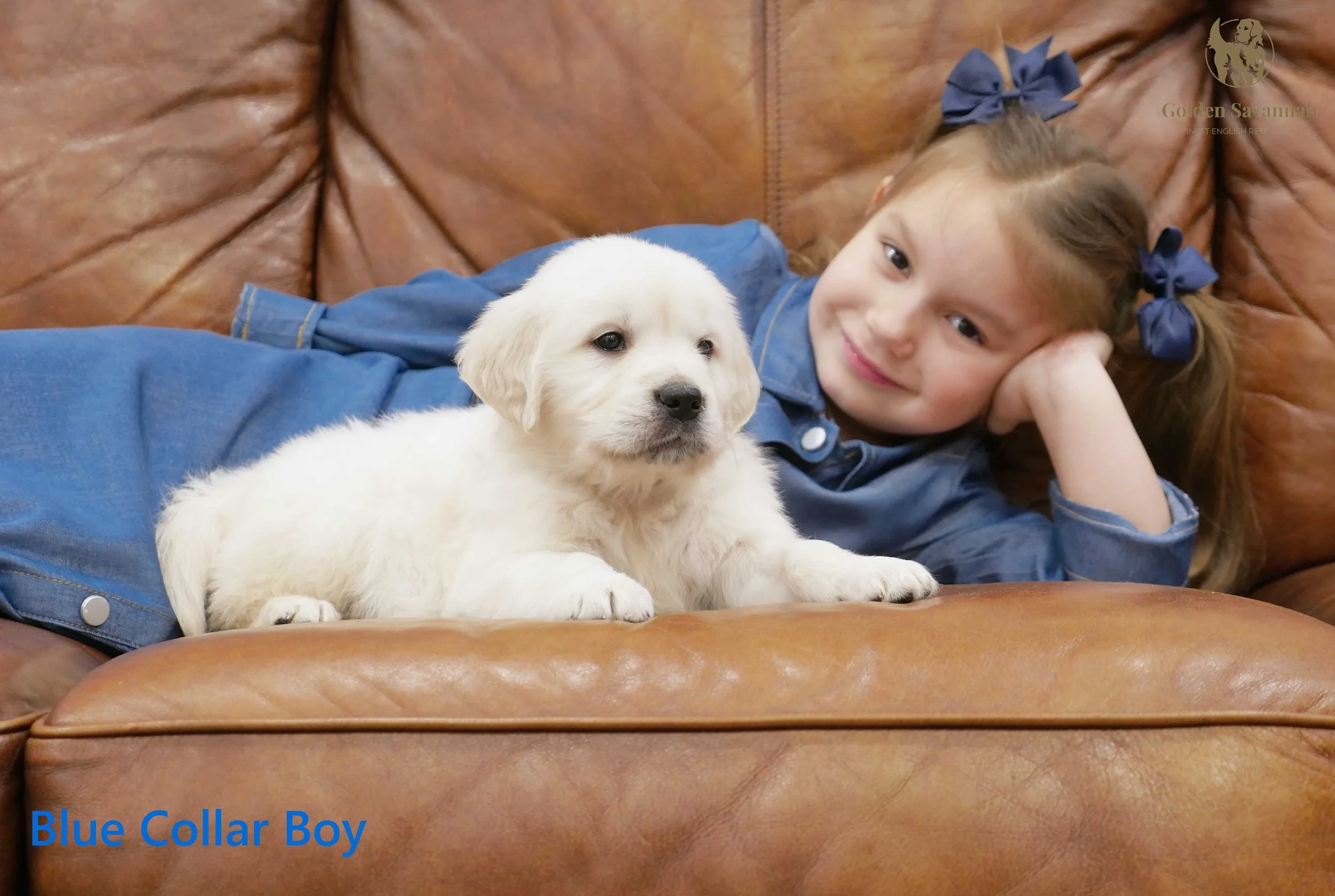 Blue Collar Boy a.jpg