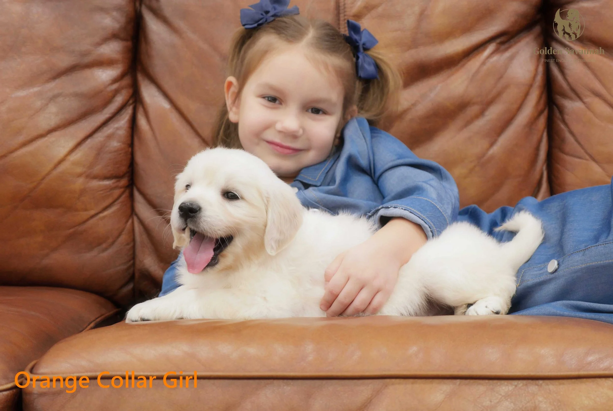 Orange Collar Girl b.jpg
