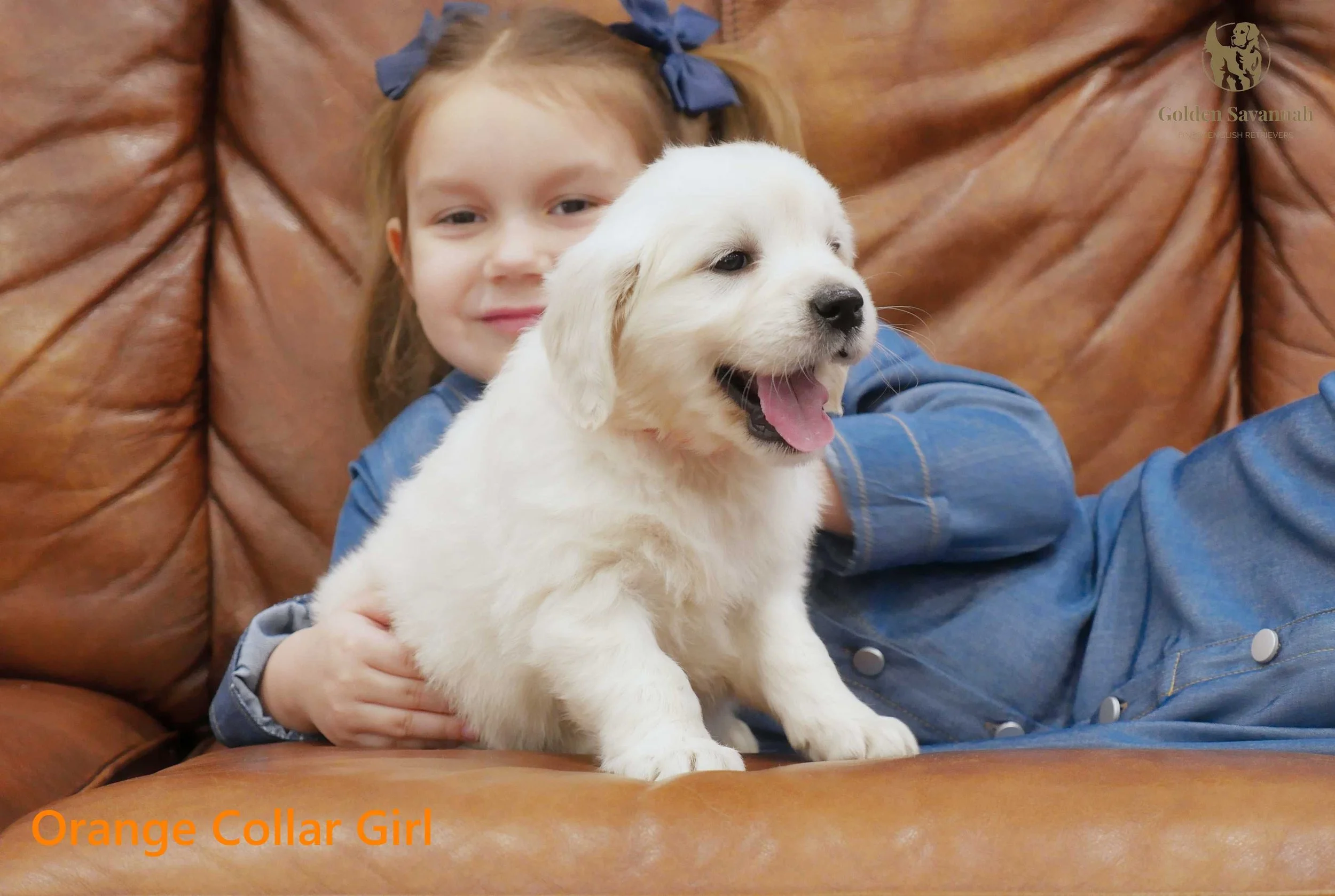 Orange Collar Girl c.jpg