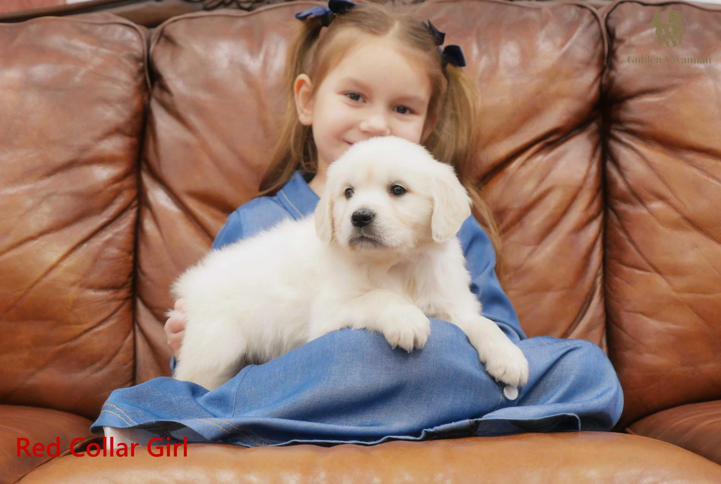 Red Collar Girl c.jpg