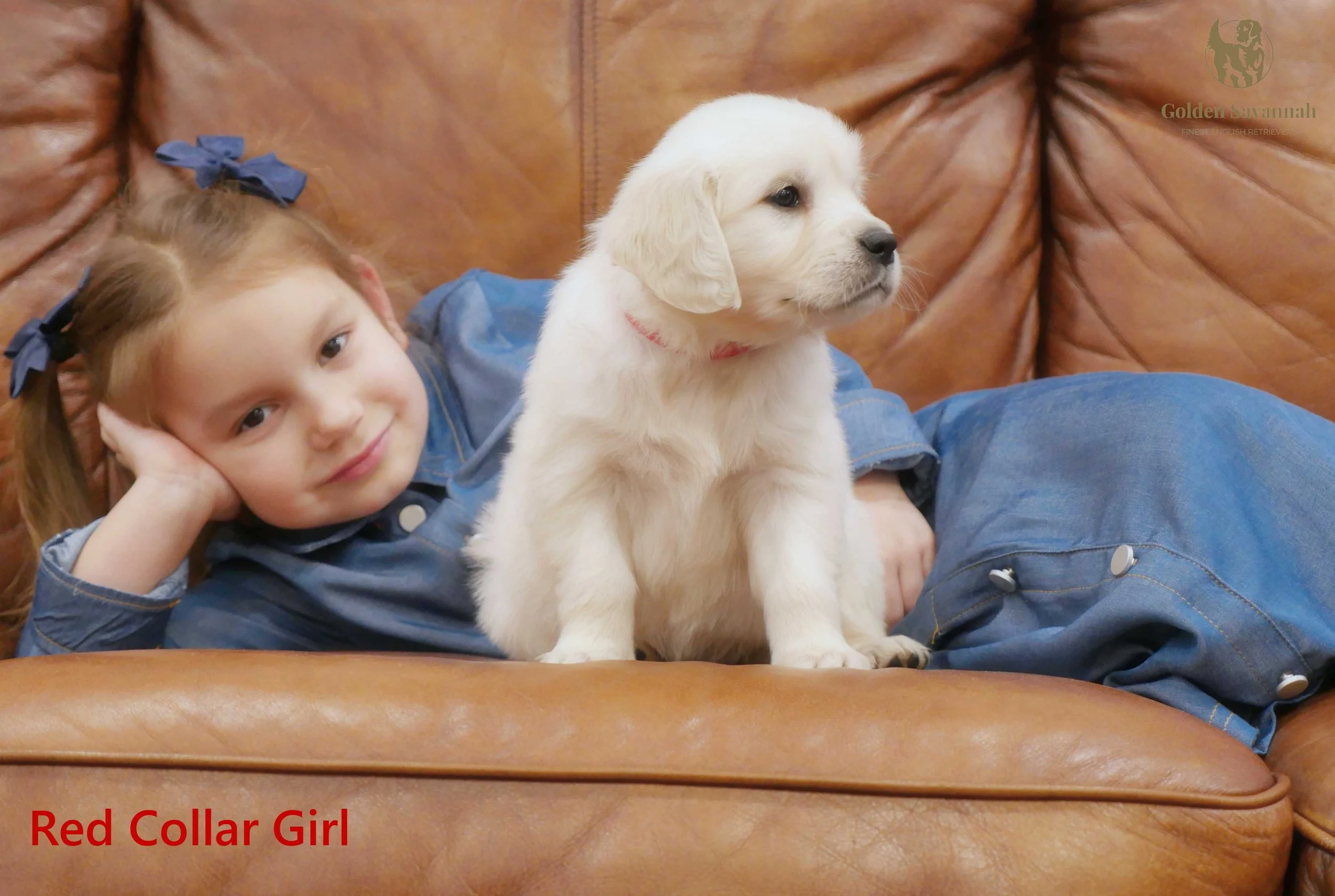 Red Collar Girl d.jpg