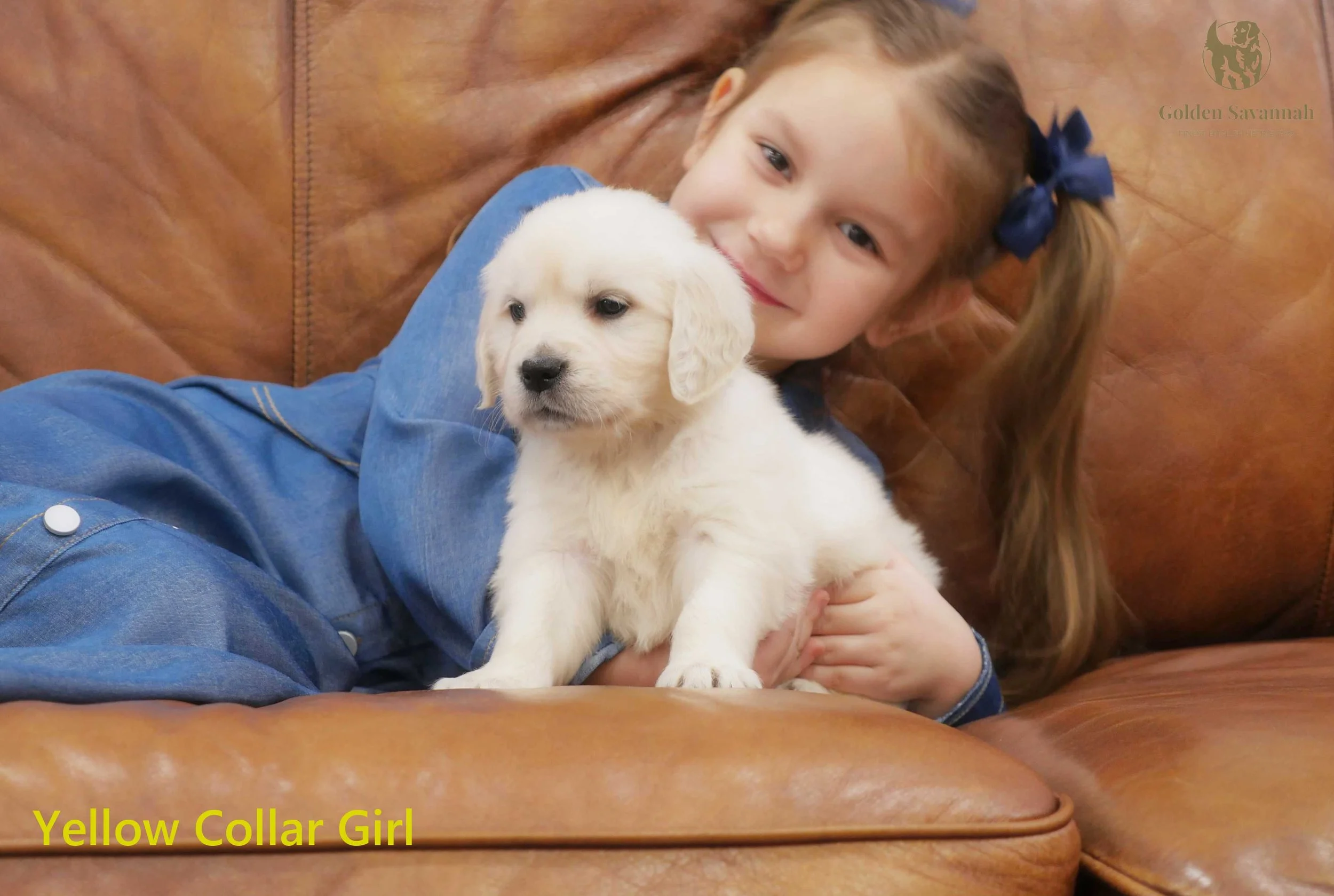 Yellow Collar Girl c.jpg