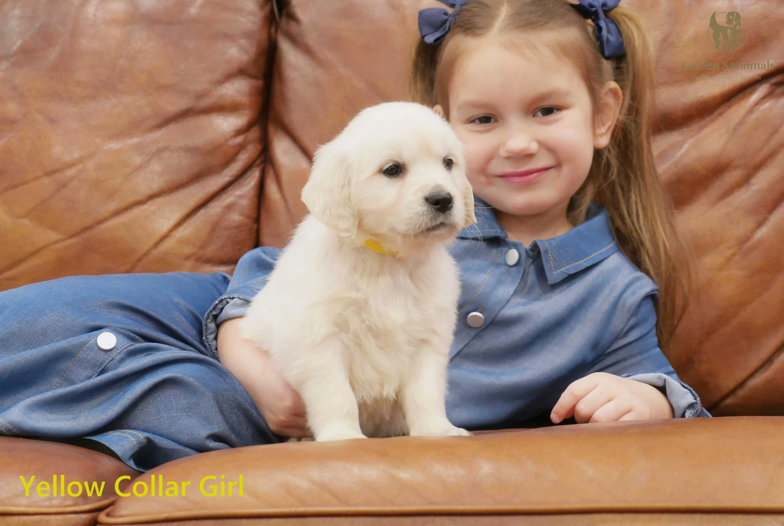 Yellow Collar Girl d.jpg