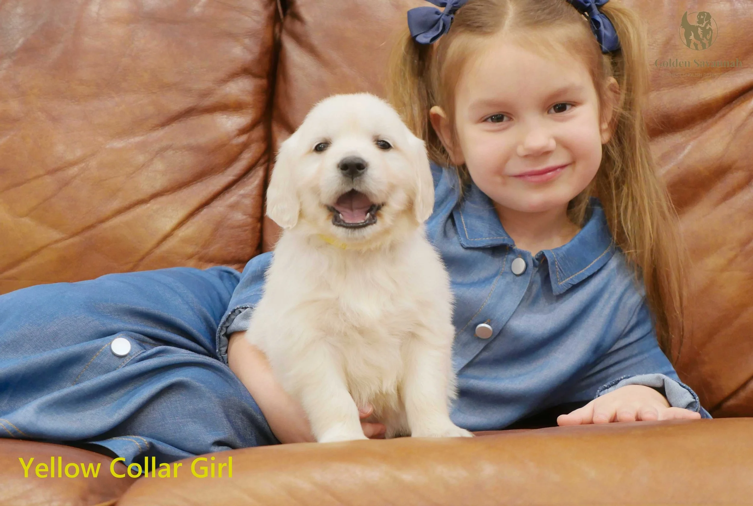 Yellow Collar Girl e.jpg