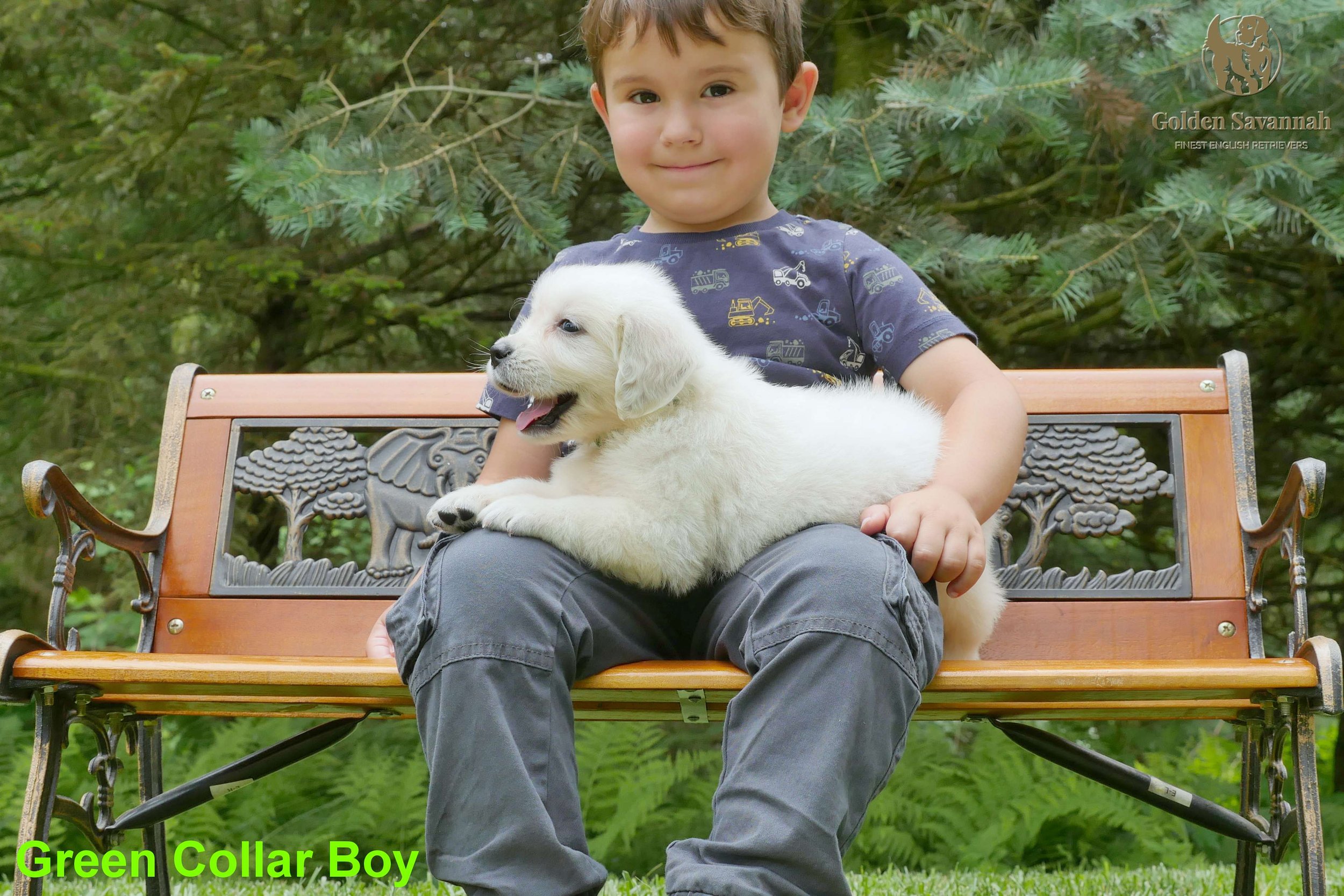 Green Collar Boy c.jpg