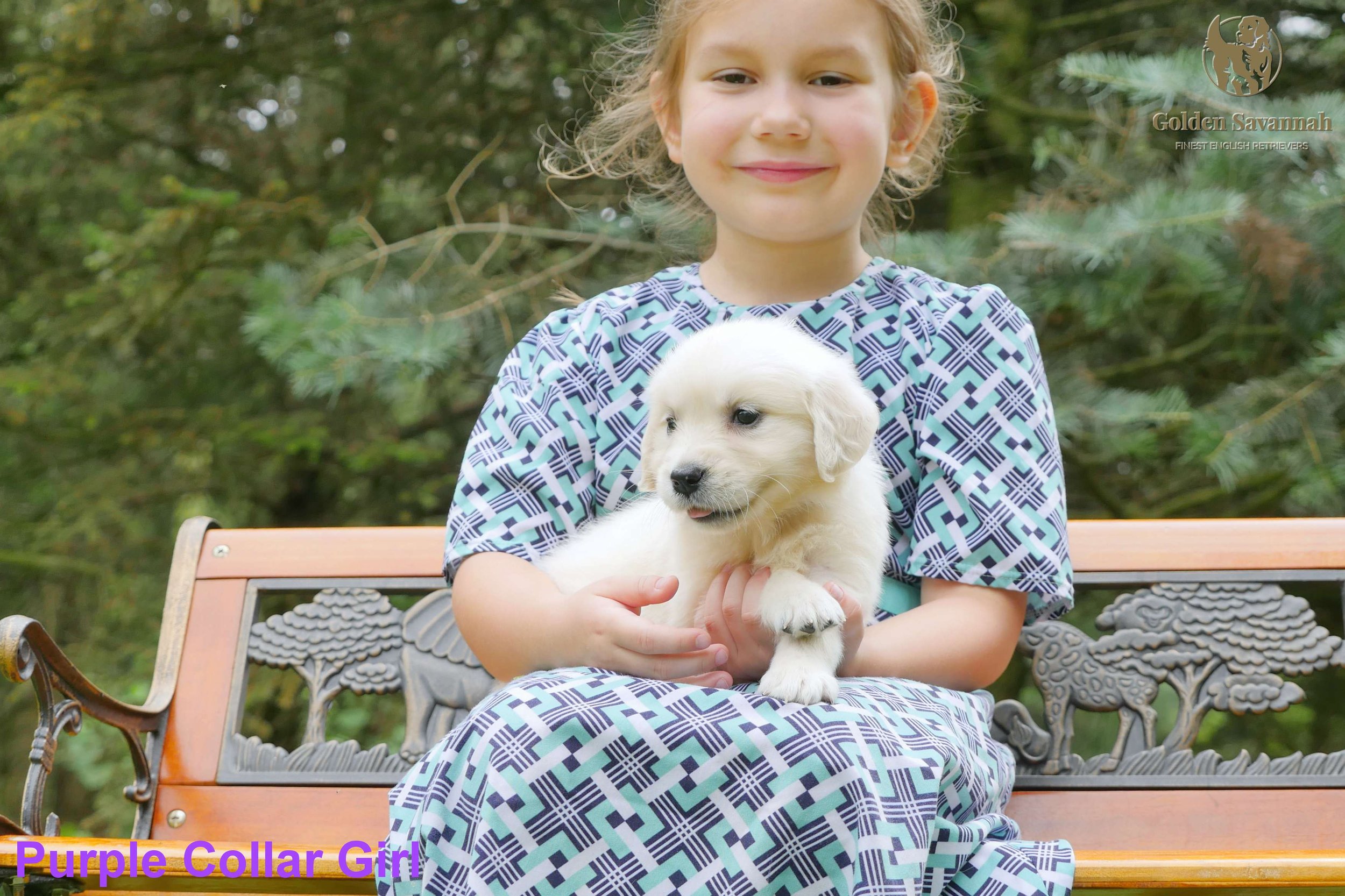 Purple Collar Girl a.jpg