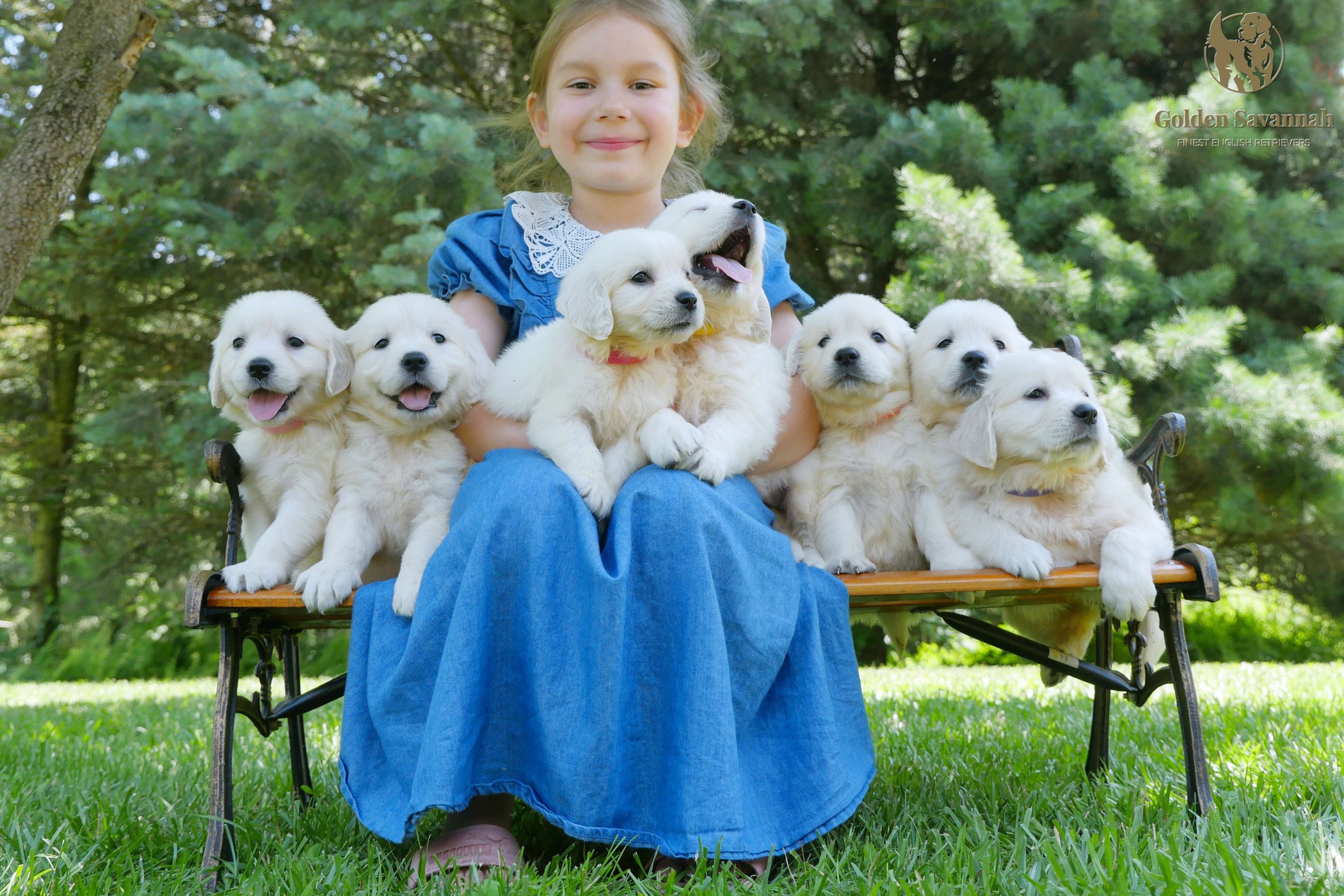 Ruby's pups group picture a.jpg