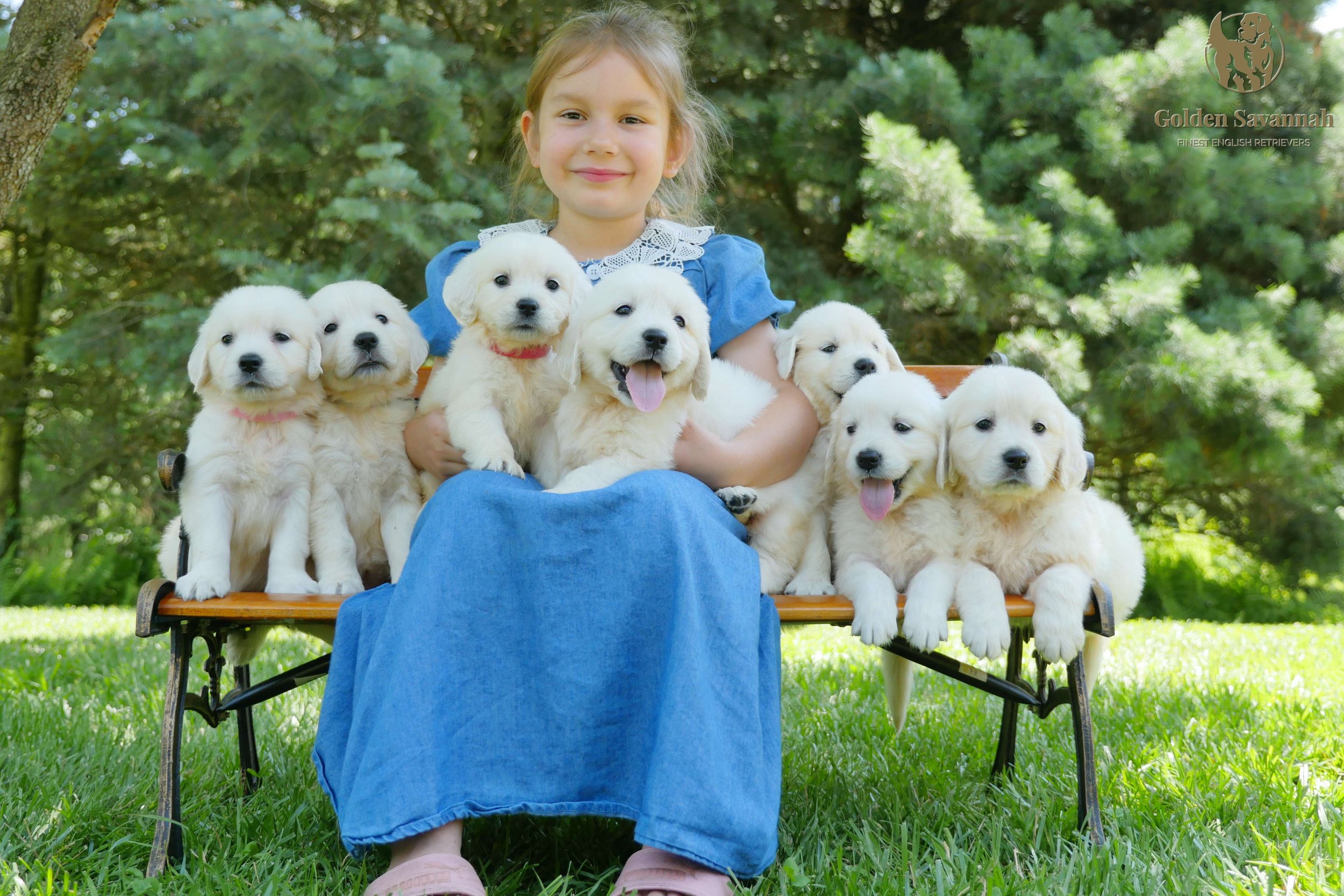 Ruby's pups group picture b.jpg