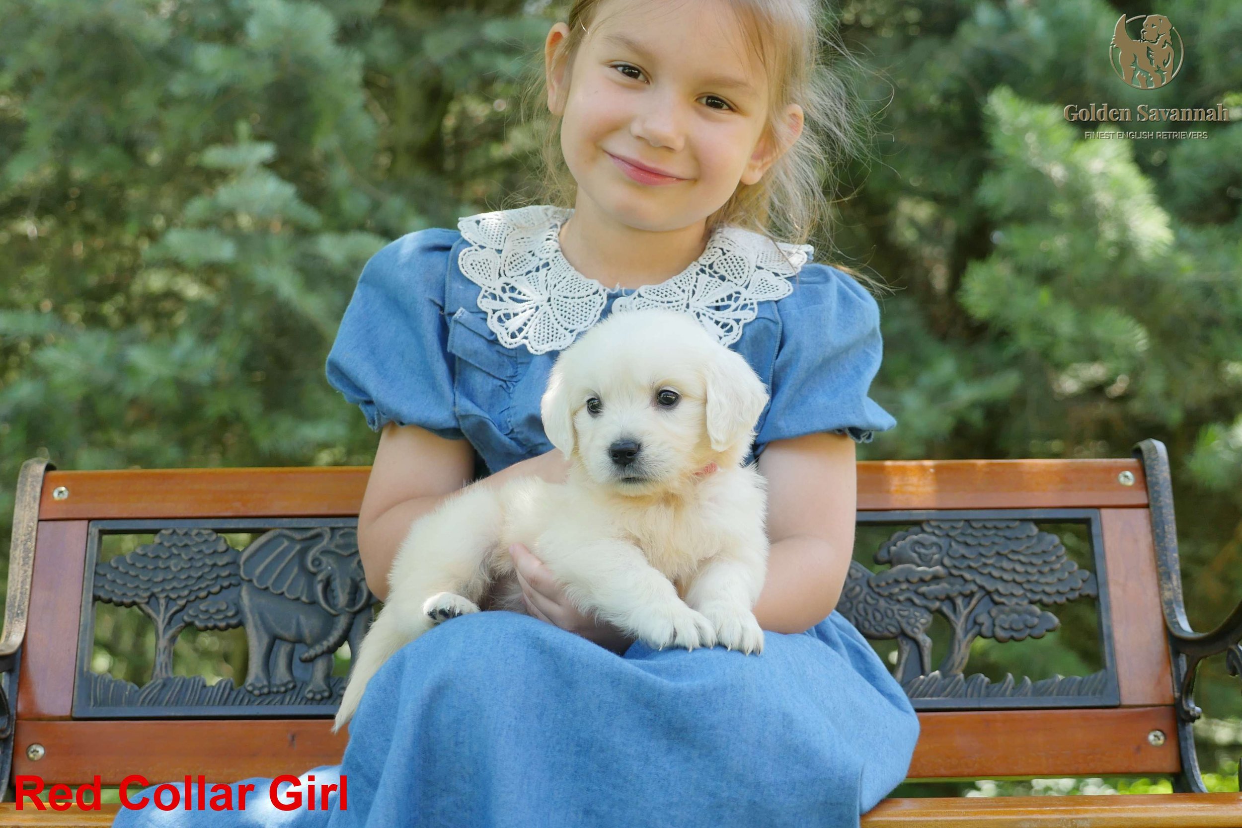 Red Collar Girl a.jpg