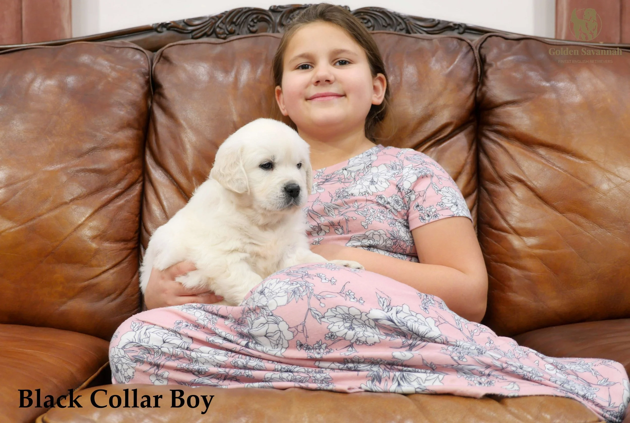 Black Collar Boy c.jpg