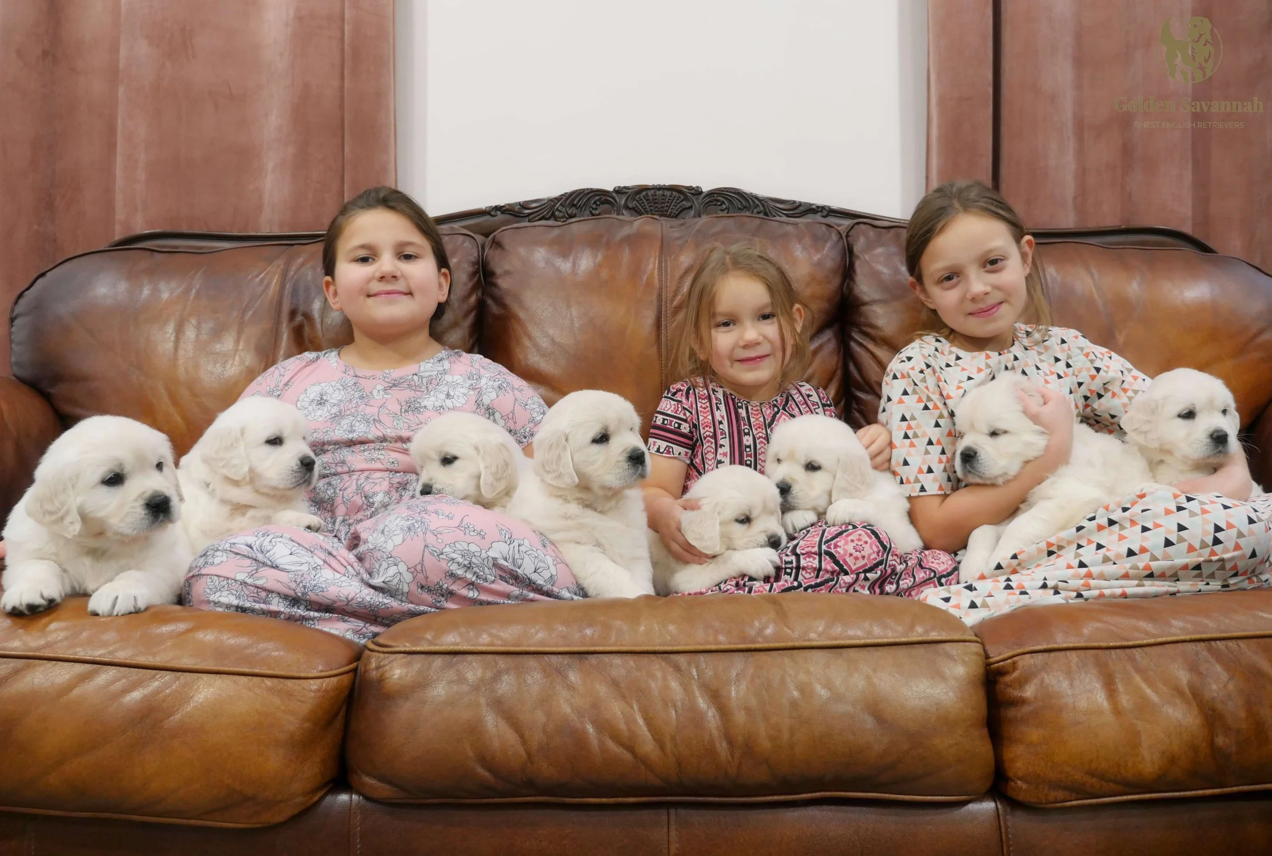 Mia x Max pups a.jpg