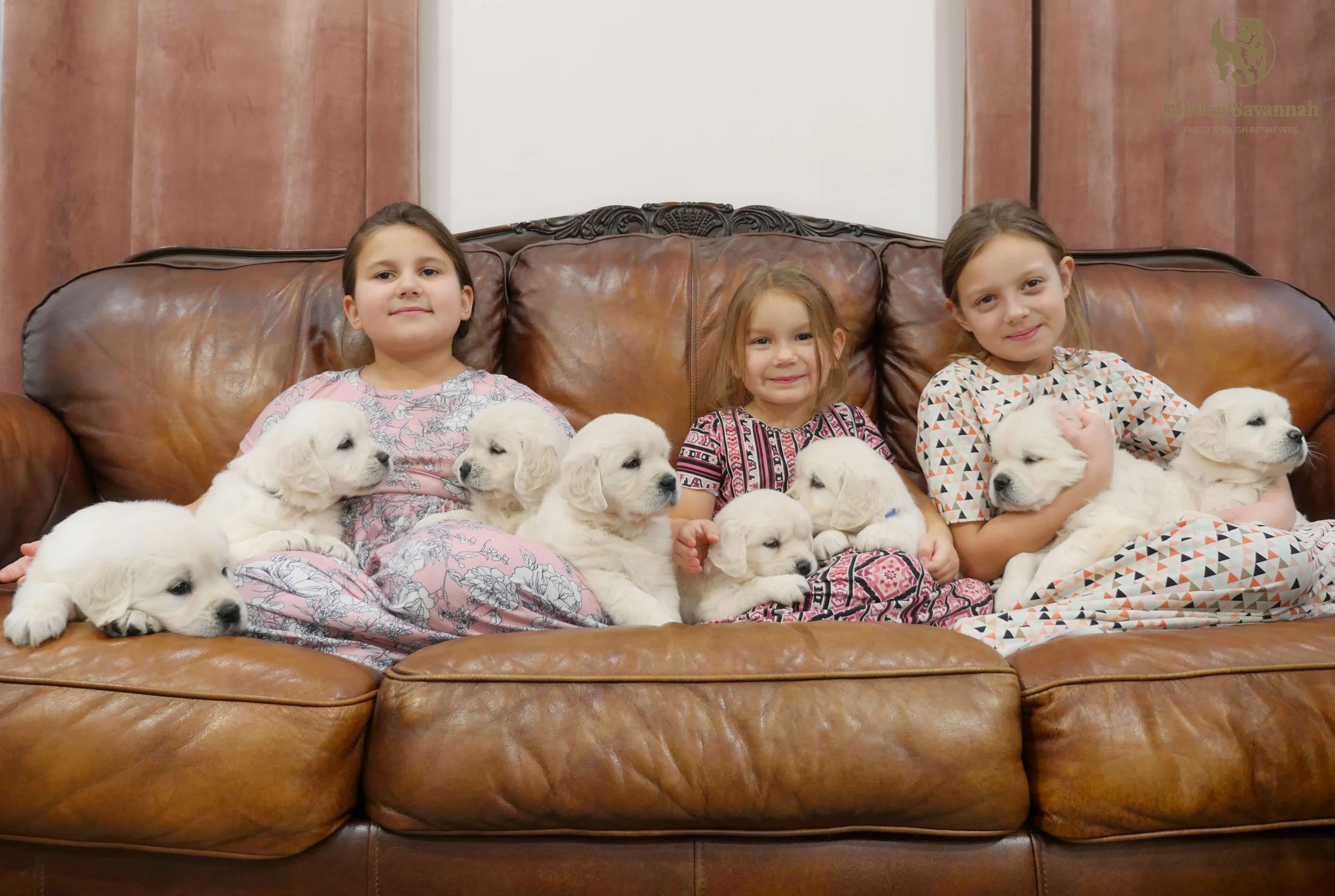 Mia x Max pups b.jpg
