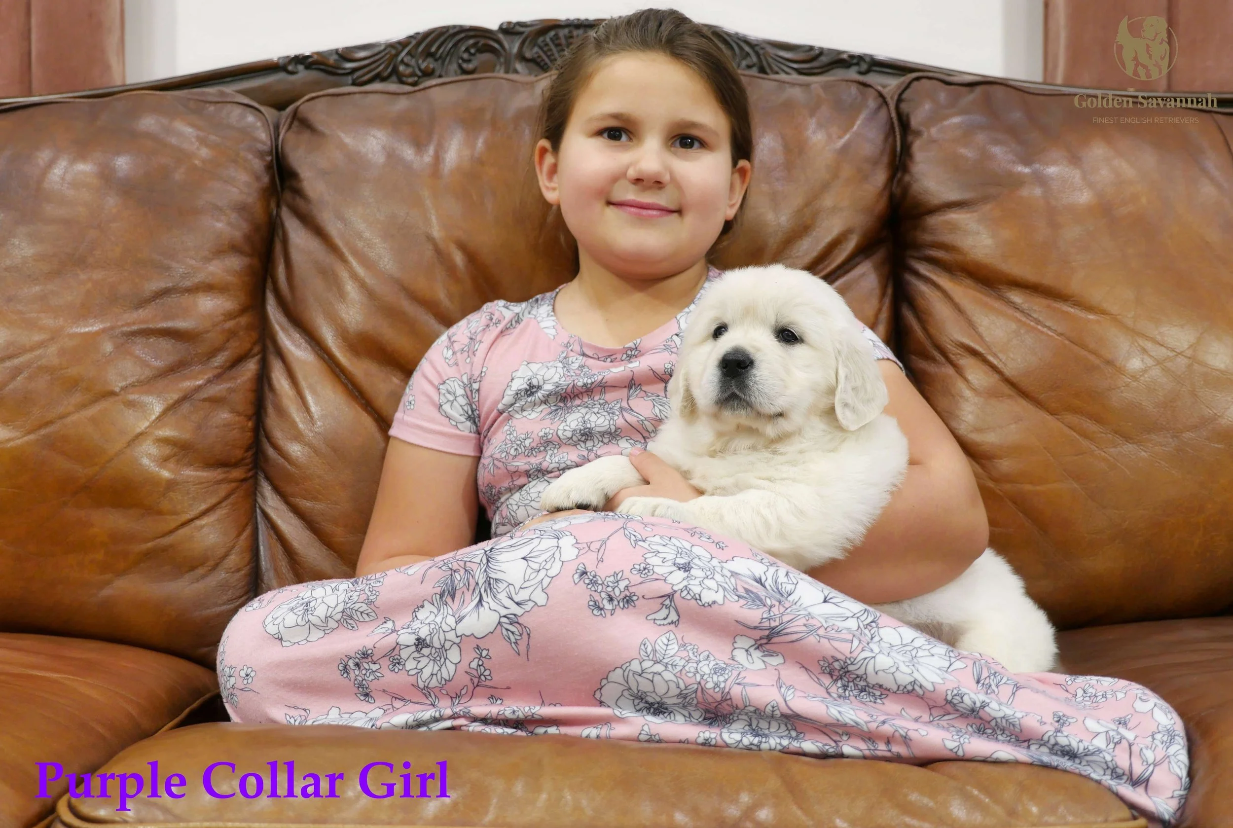 Purple Collar Girl b.jpg