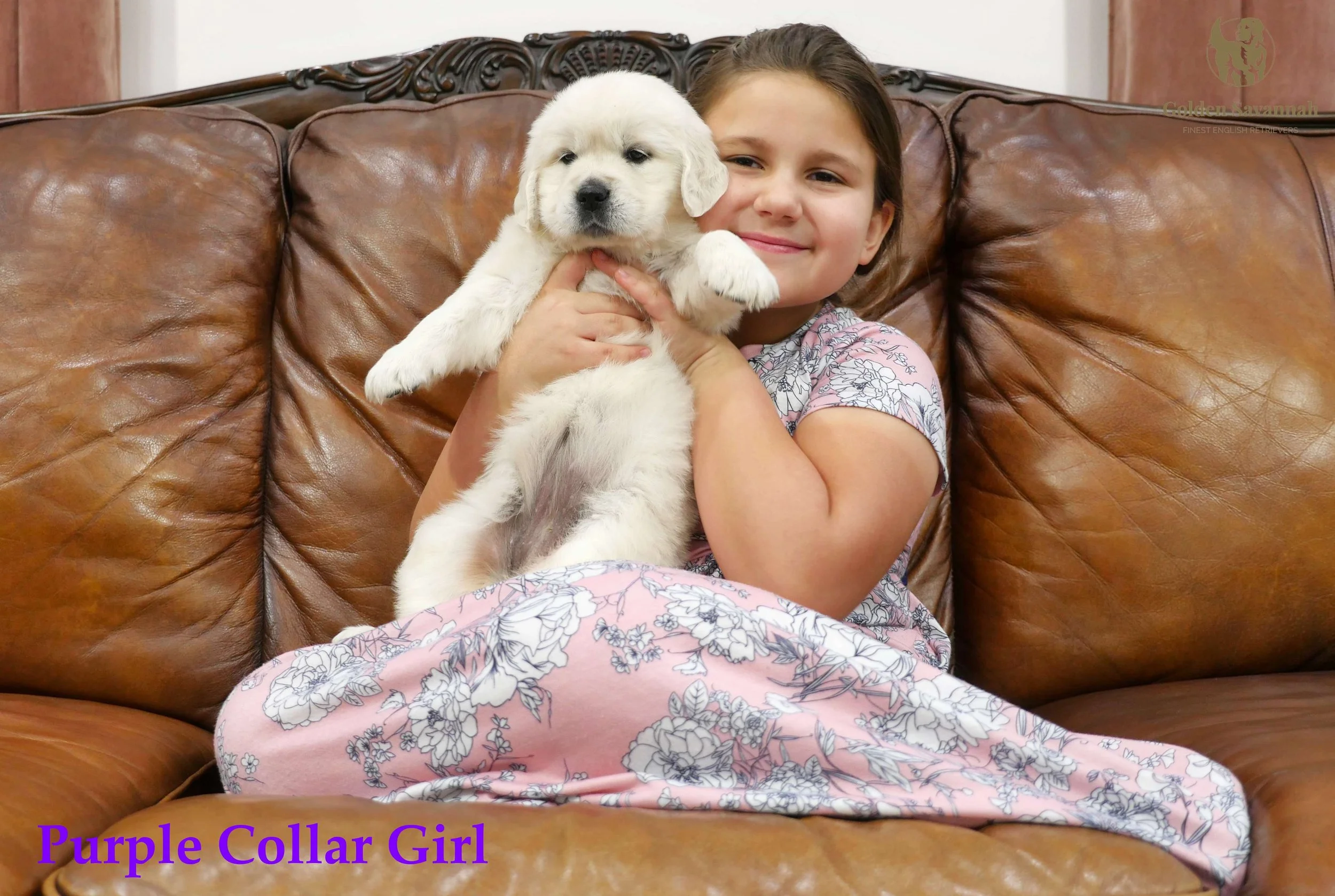 Purple Collar Girl c.jpg