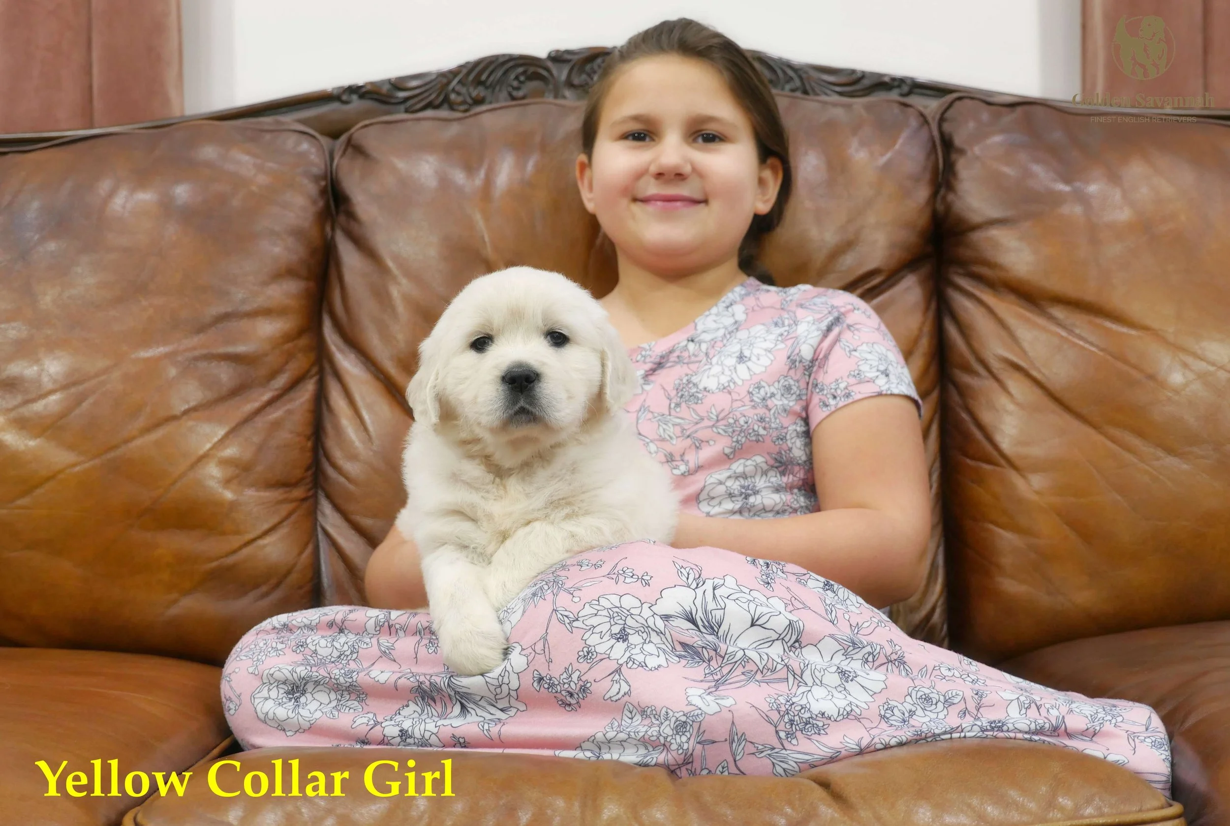 Yellow Collar Girl c.jpg