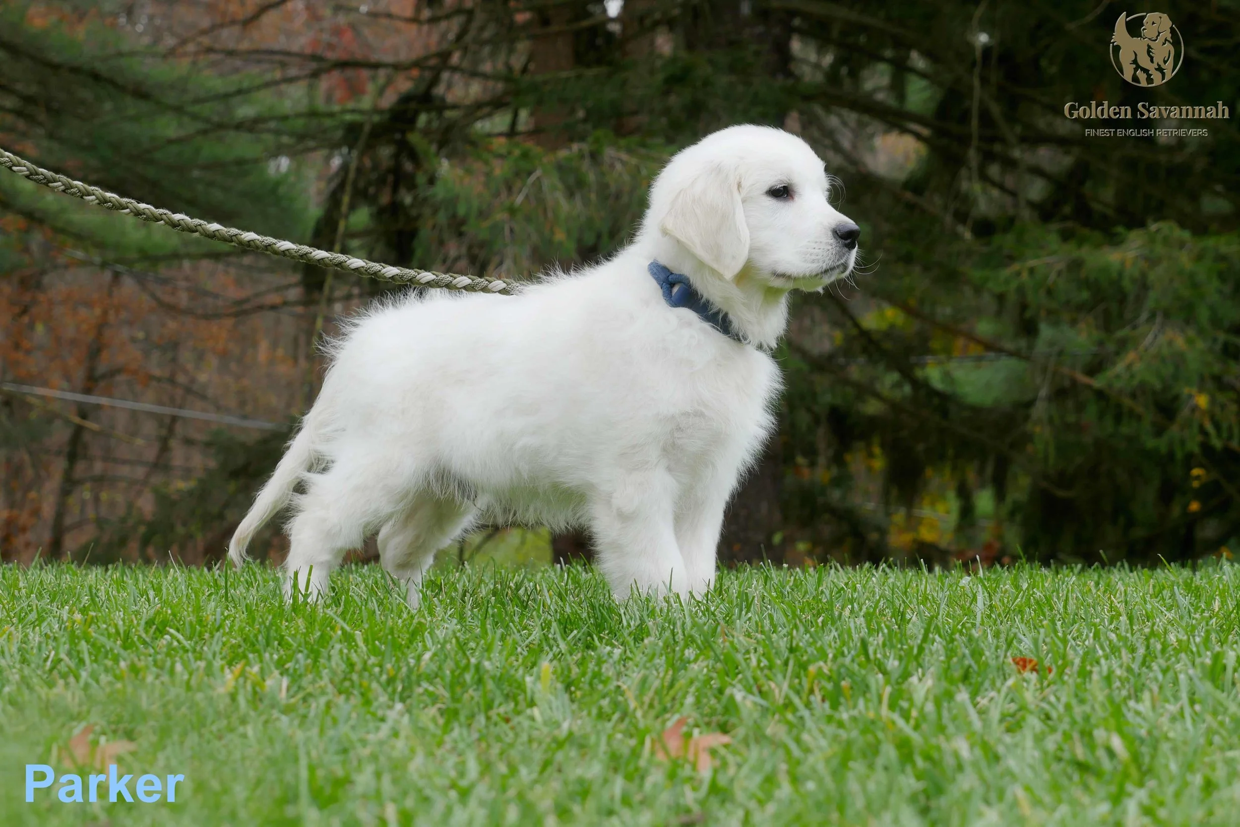 At 12 weeks old (Copy)