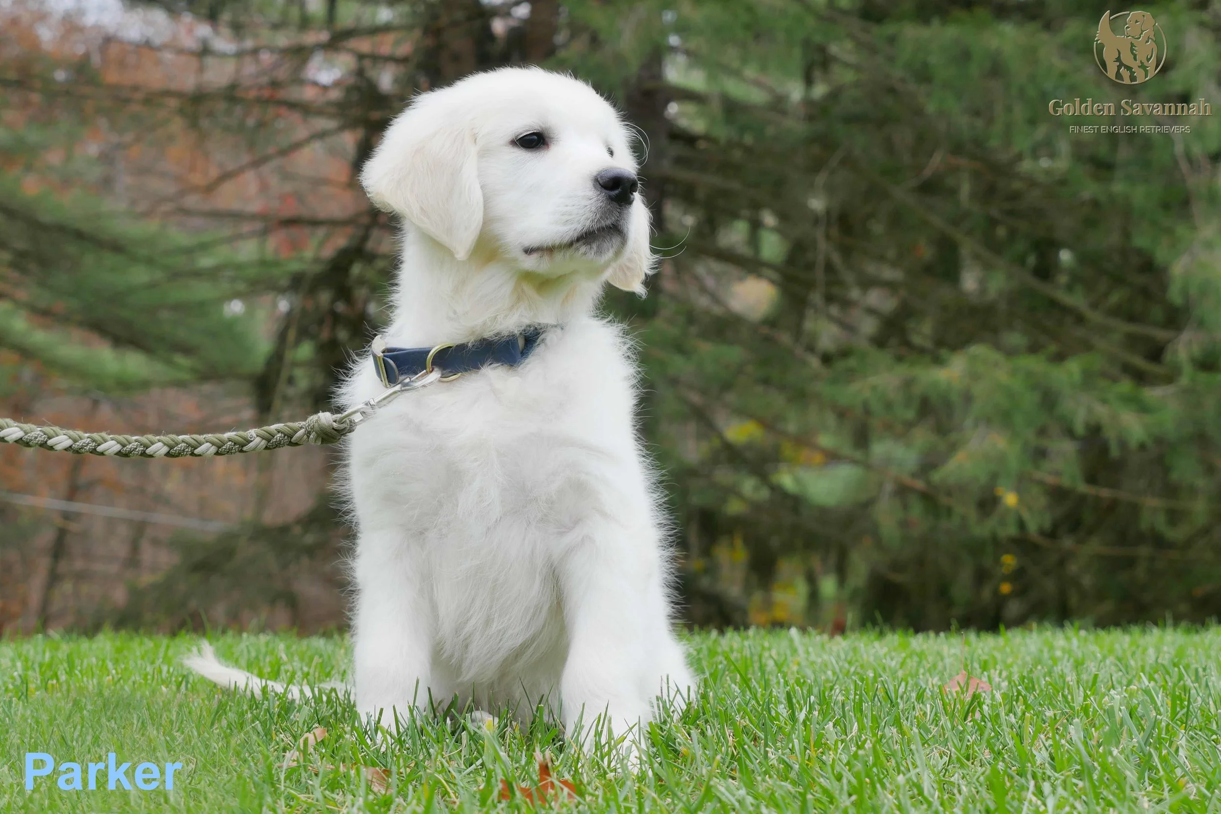 At 12 weeks old (Copy)