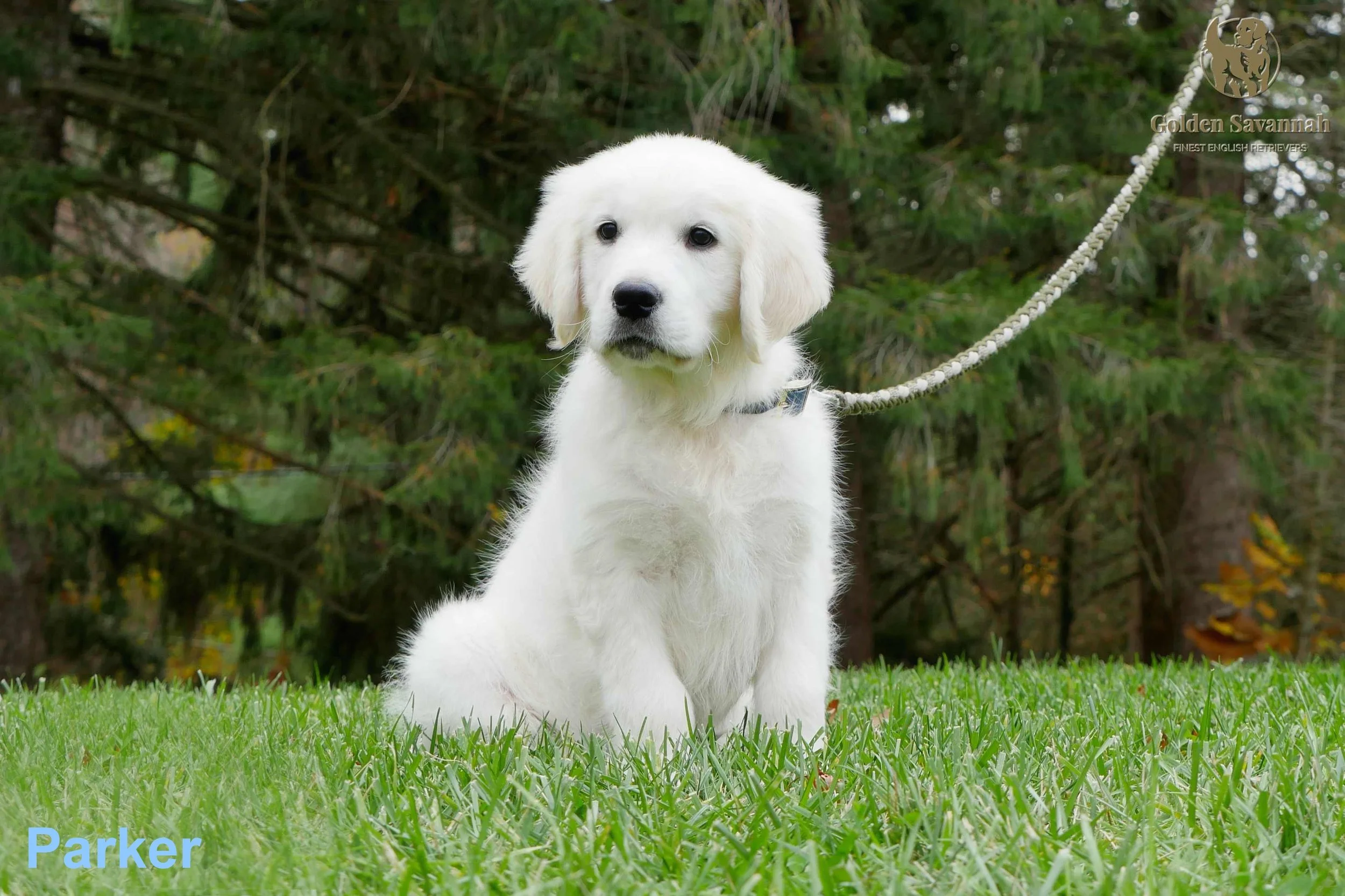 At 12 weeks old (Copy)