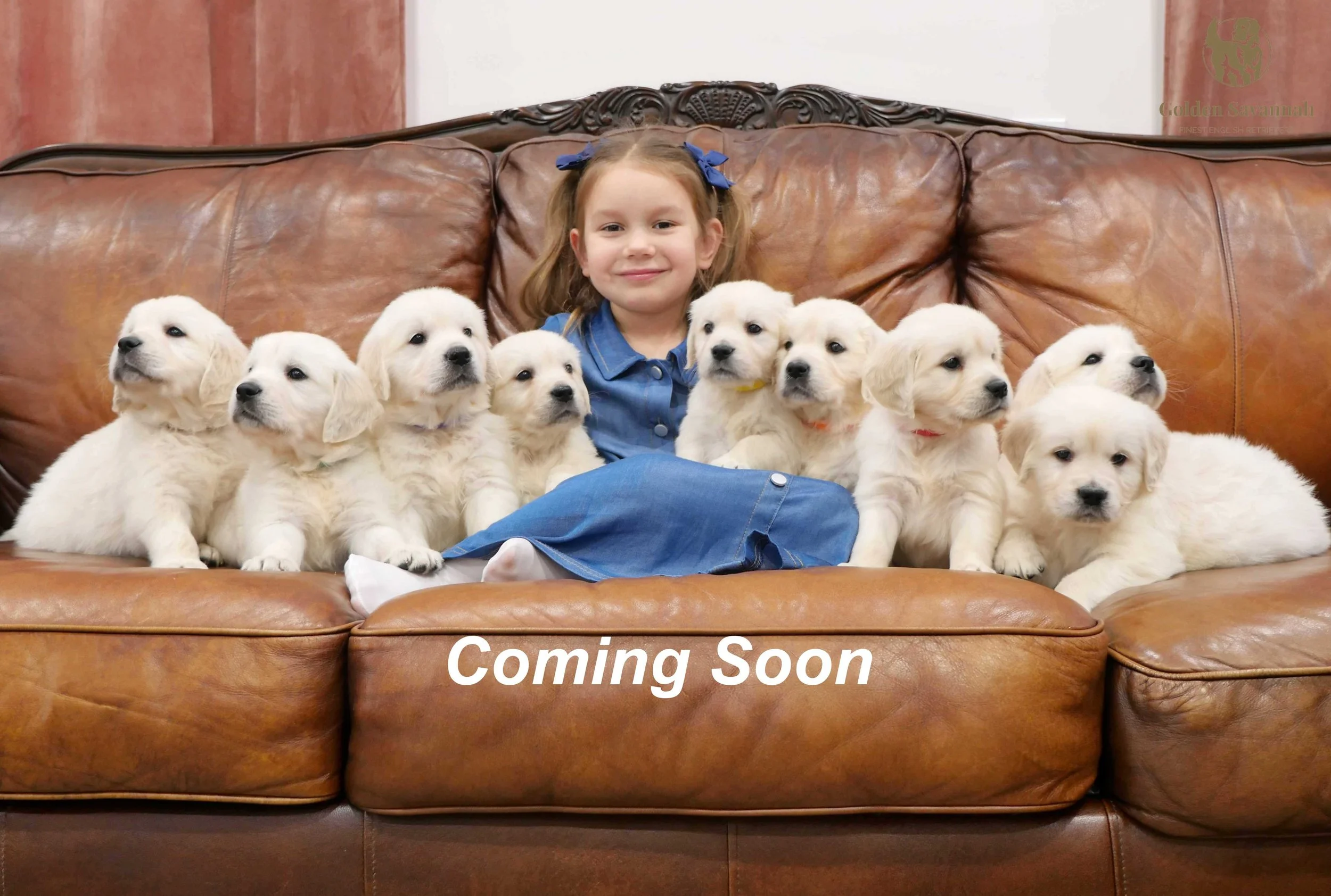 Summer and Charlie’s Girls. Expected Birthday 4/8/26!