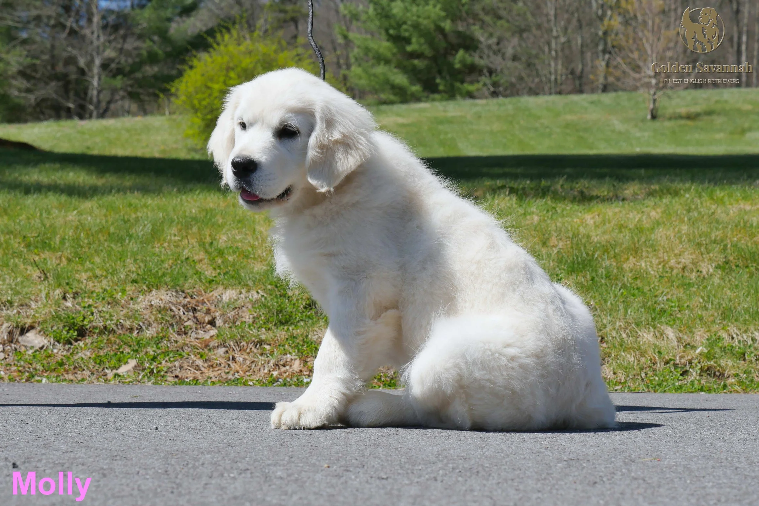 16 weeks