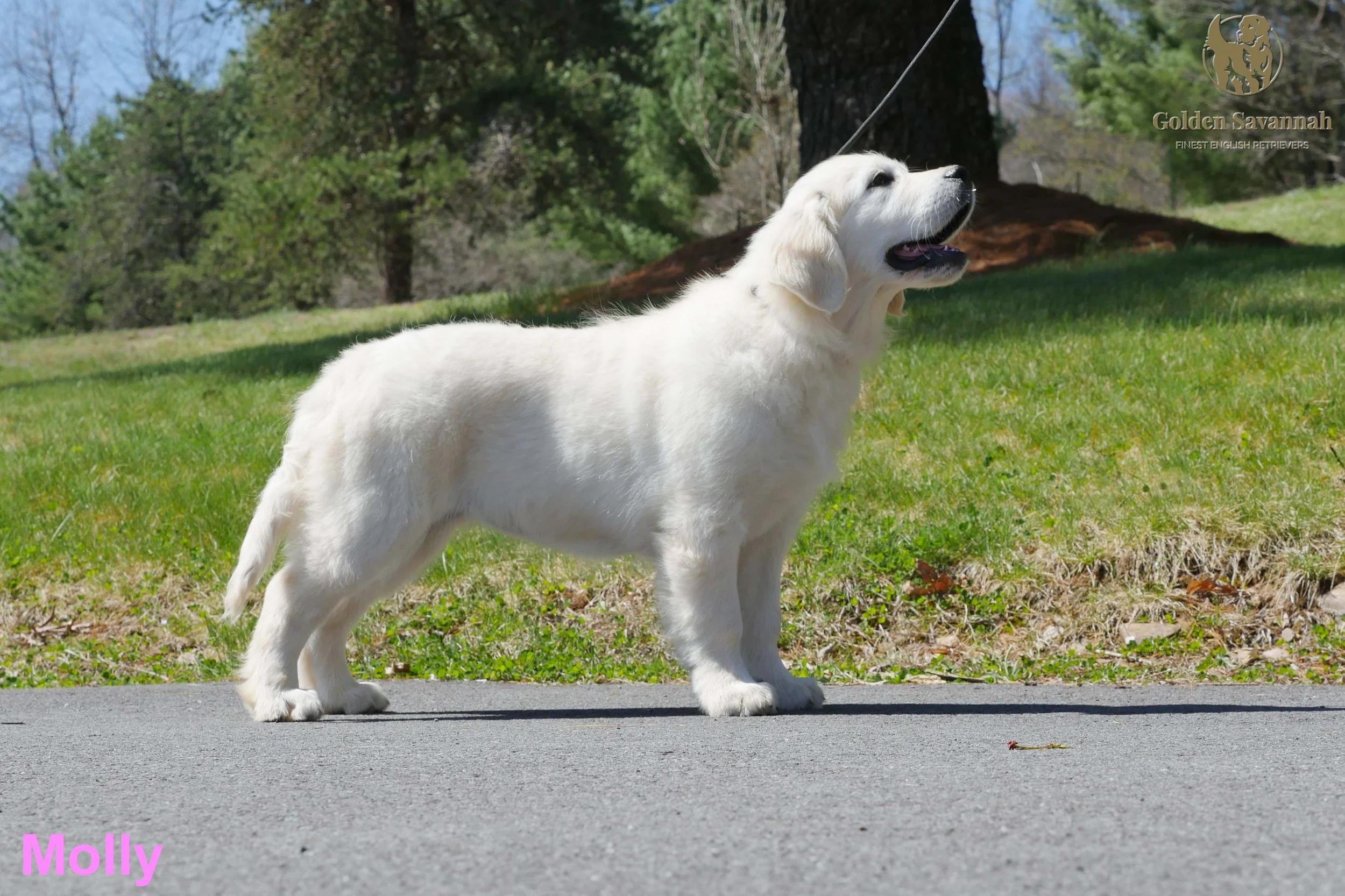 16 weeks