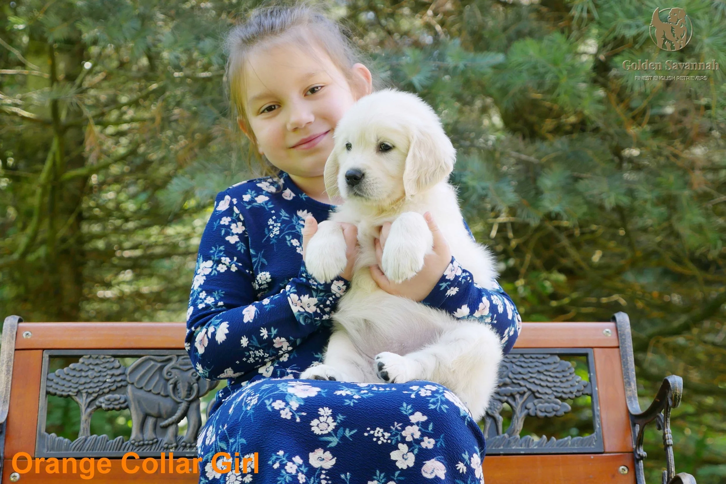 Orange Collar Girl a.jpg