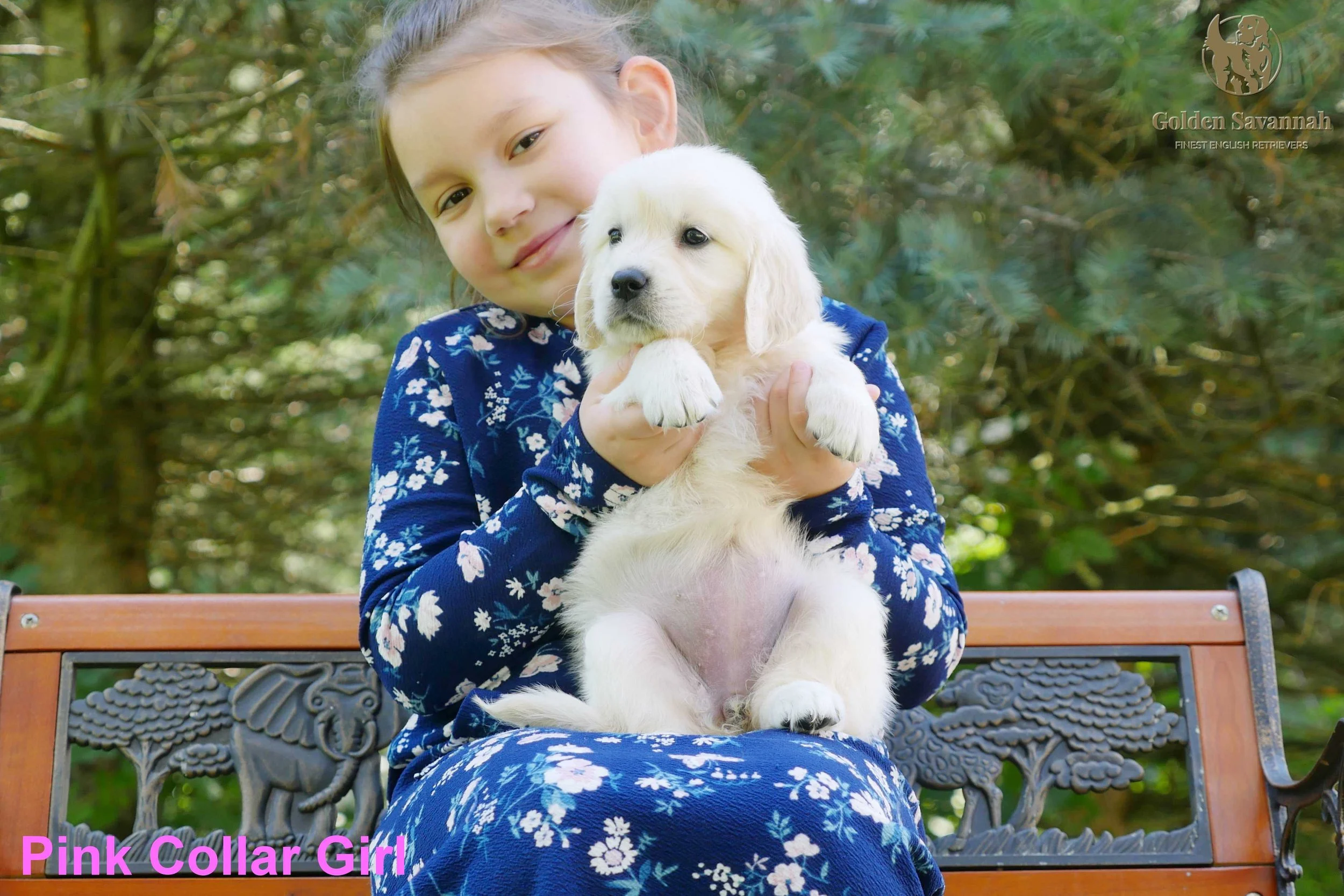 Pink Collar Girl a.jpg