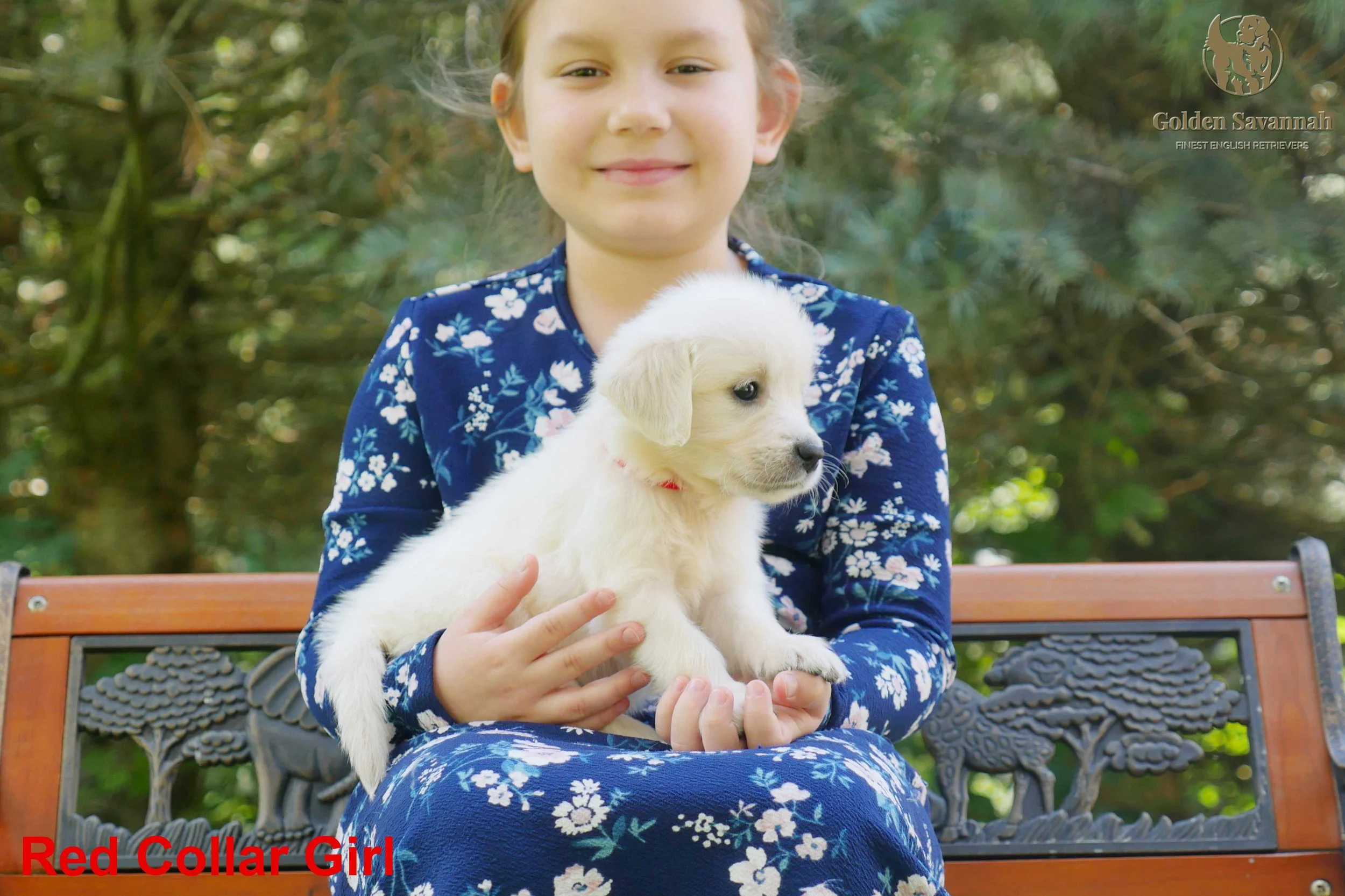 Red Collar Girl  a.jpg