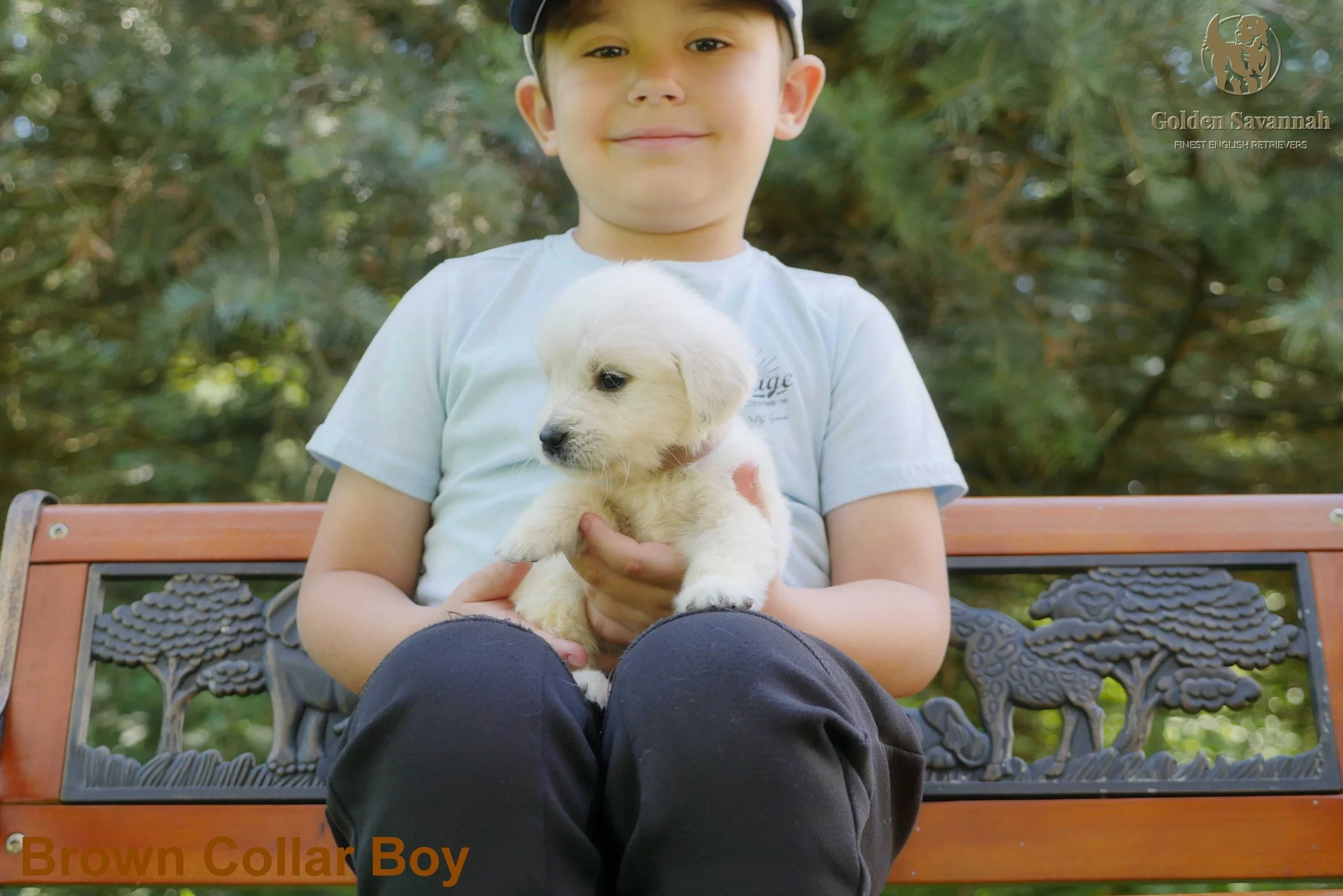 Brown Collar Boy b.jpg