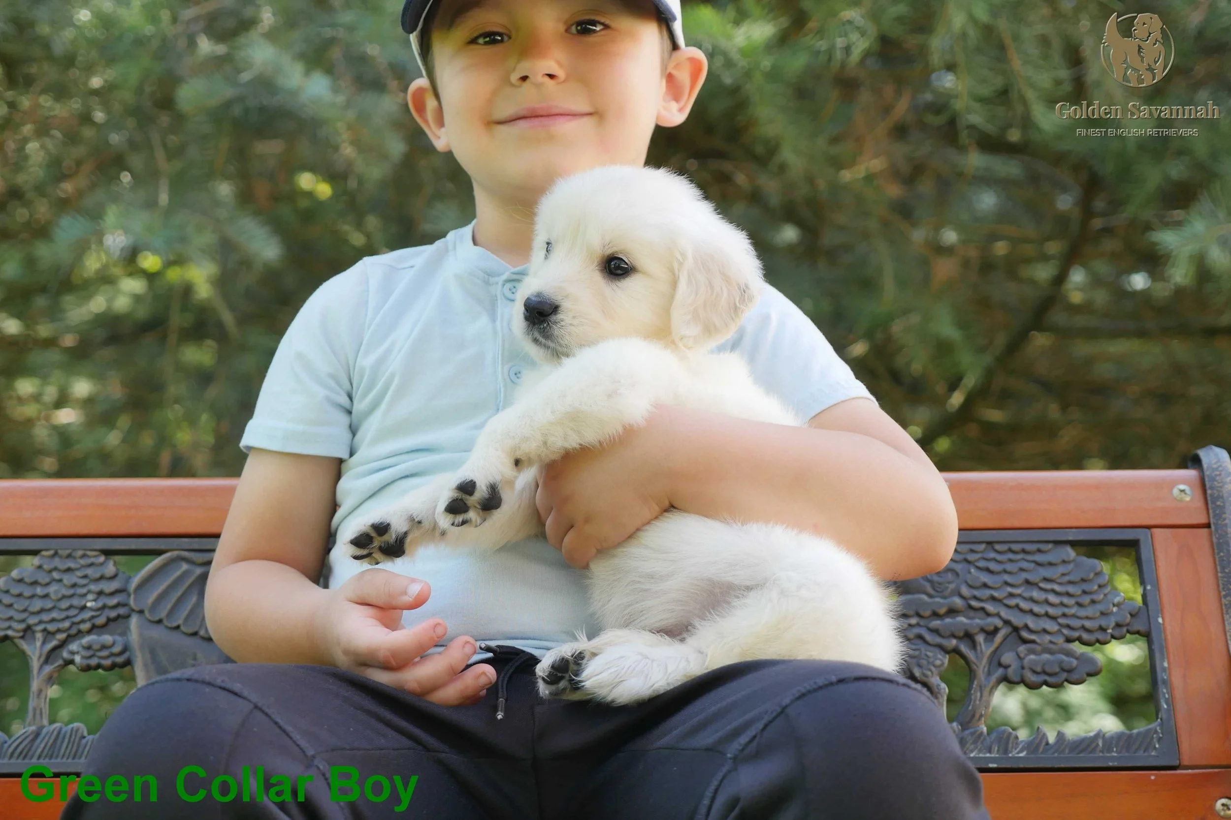 Green Collar Boy a.jpg