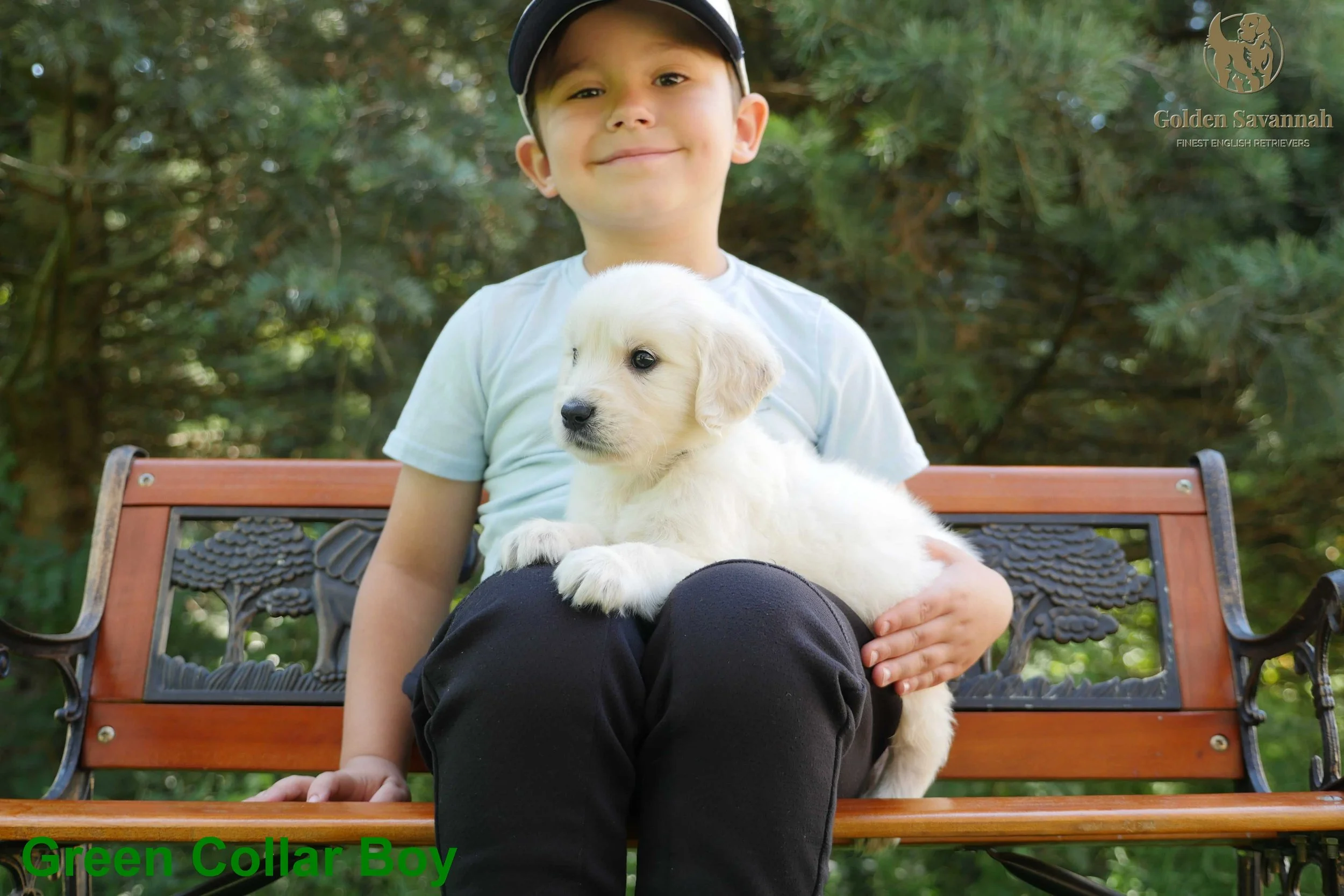 Green Collar Boy c.jpg