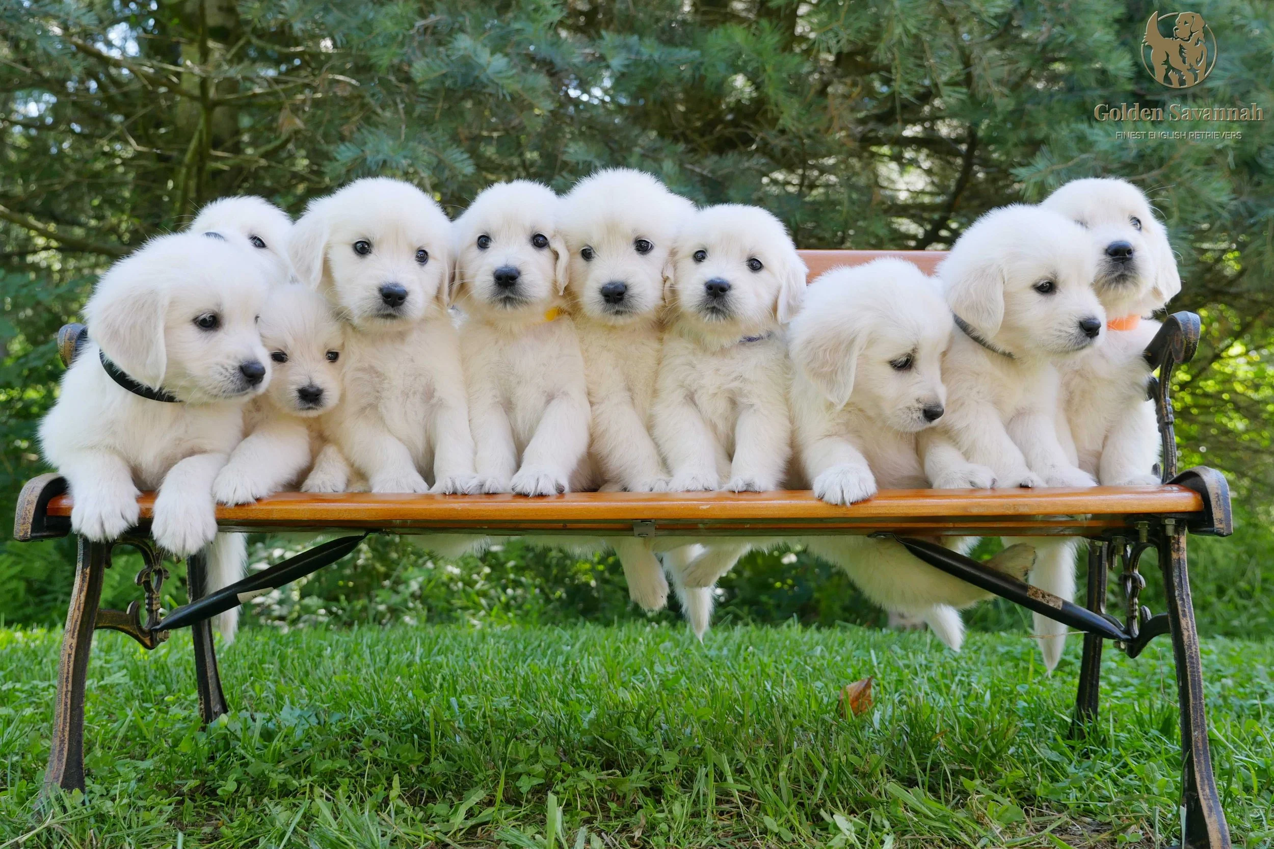 Group Picture b.jpg