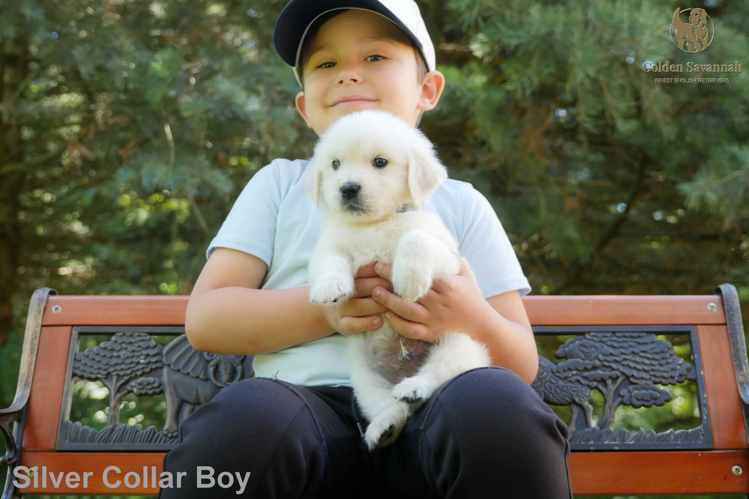 Silver Collar Boy a.jpg