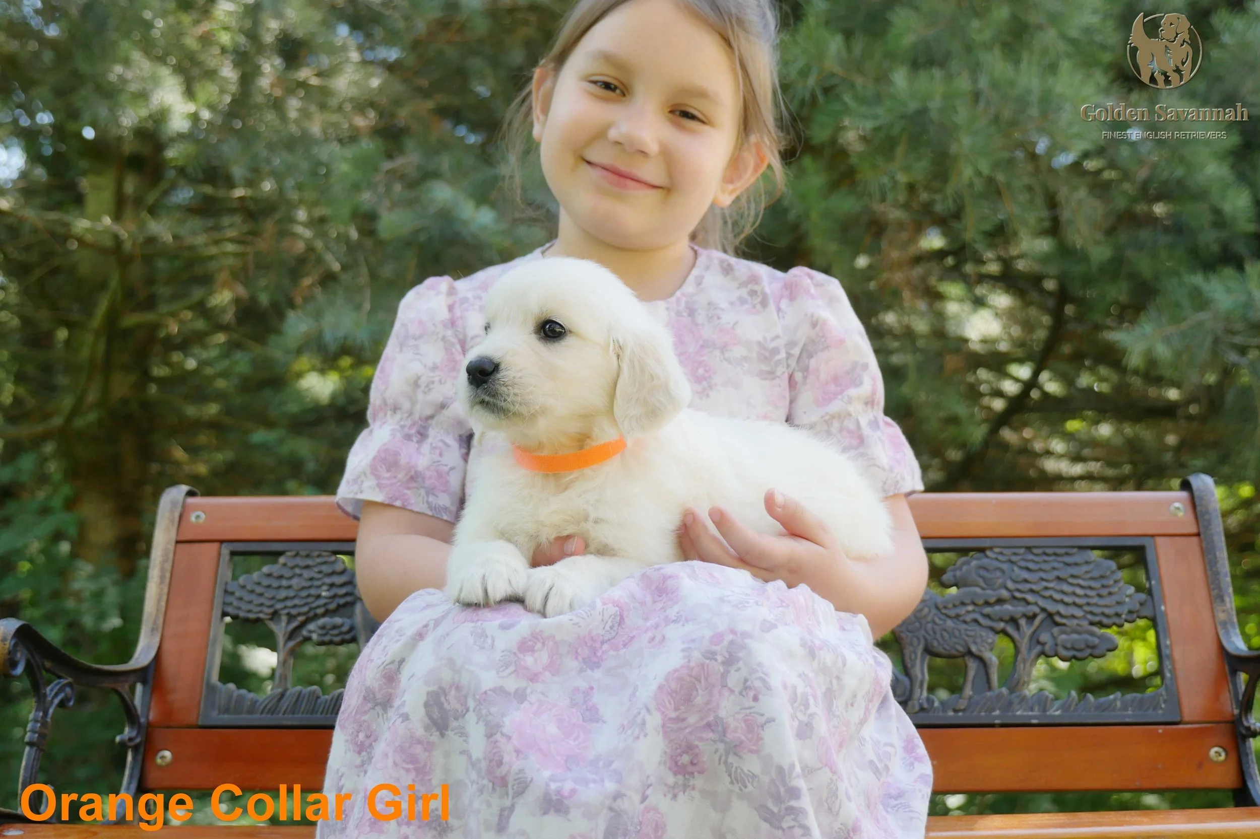 Orange Collar Girl b.jpg
