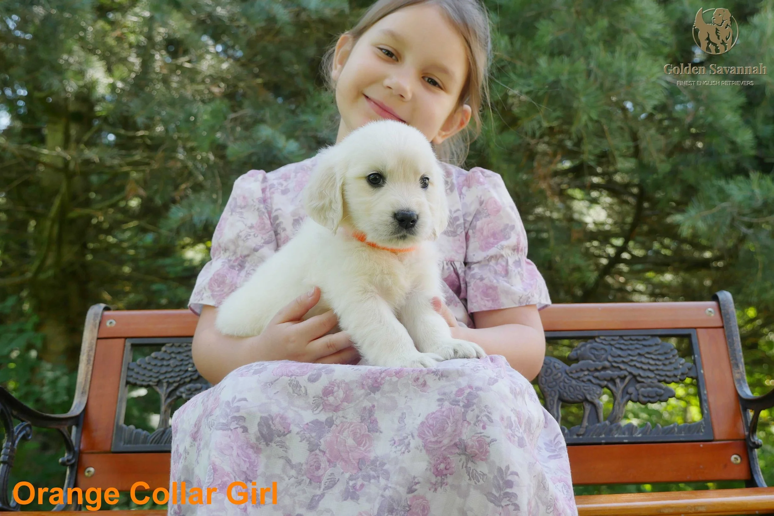 Orange Collar Girl c.jpg