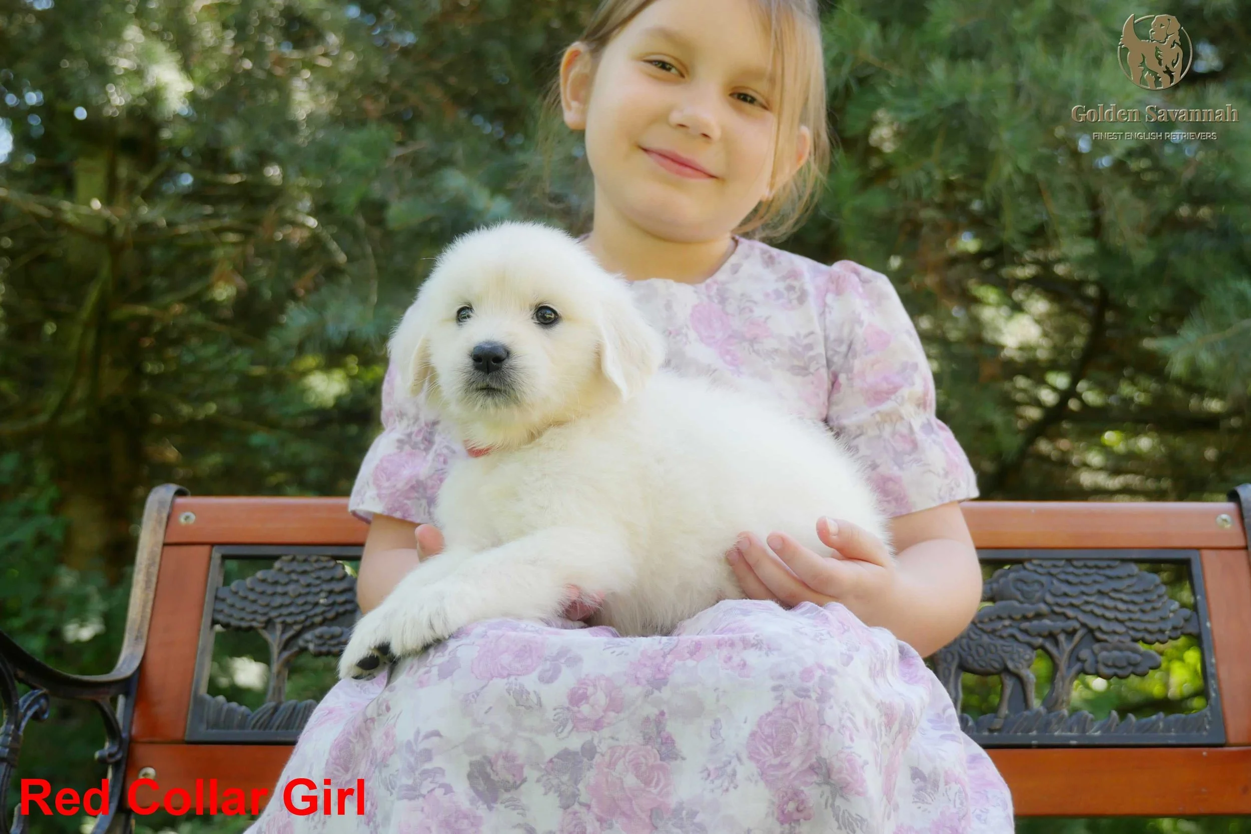 Red Collar Girl b.jpg