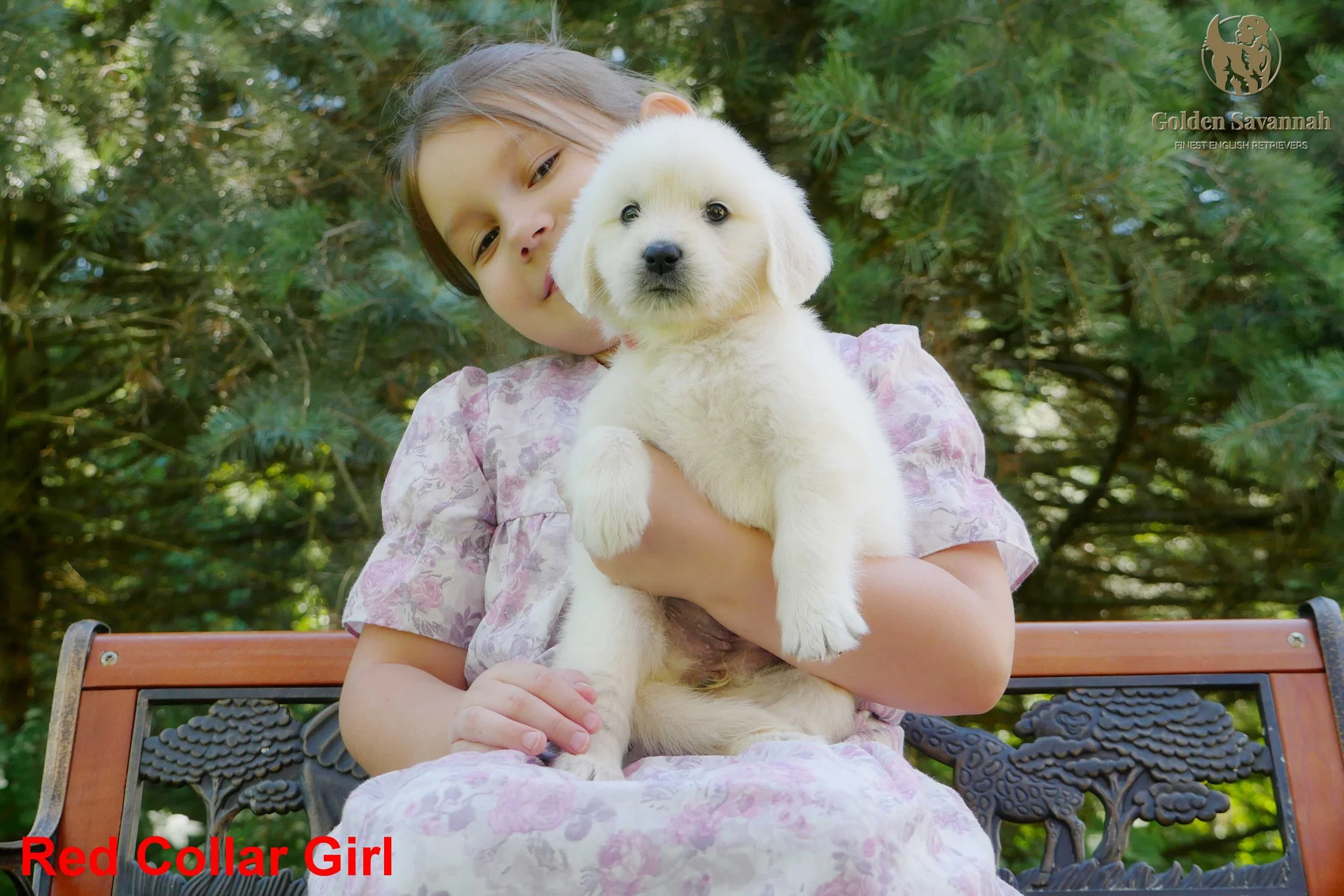 Red Collar Girl a.jpg