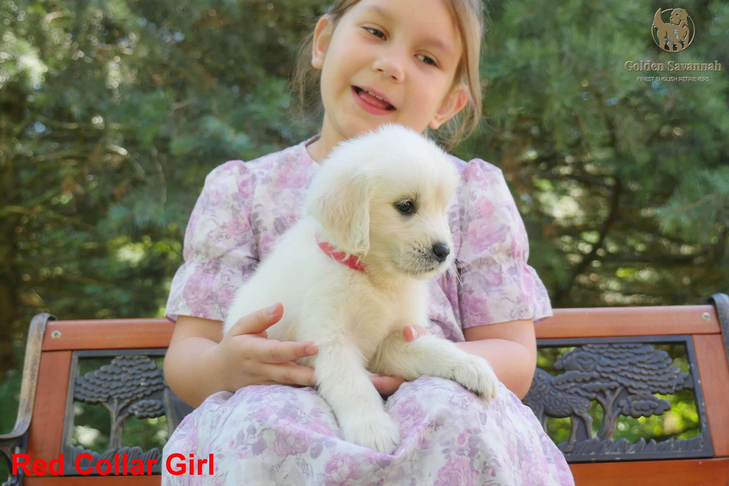 Red Collar Girl c.jpg