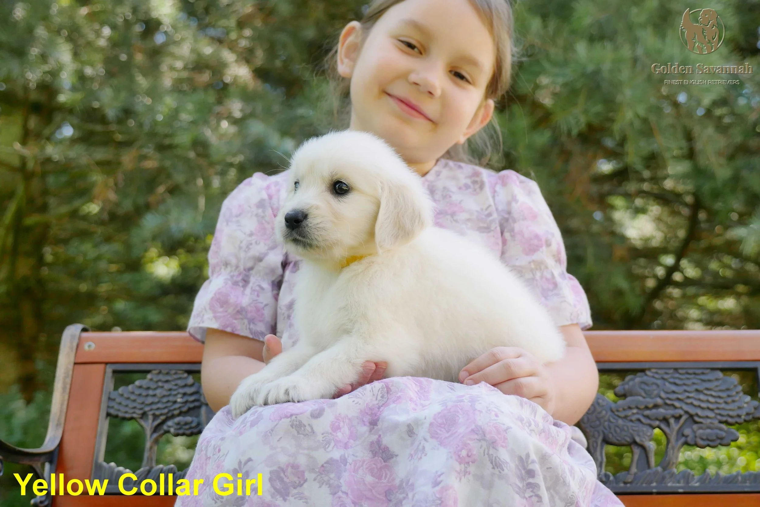 Yellow Collar Girl b.jpg