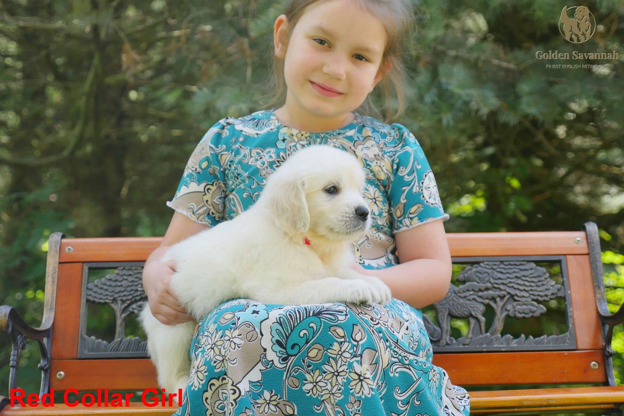 Red Collar Girl a.jpg